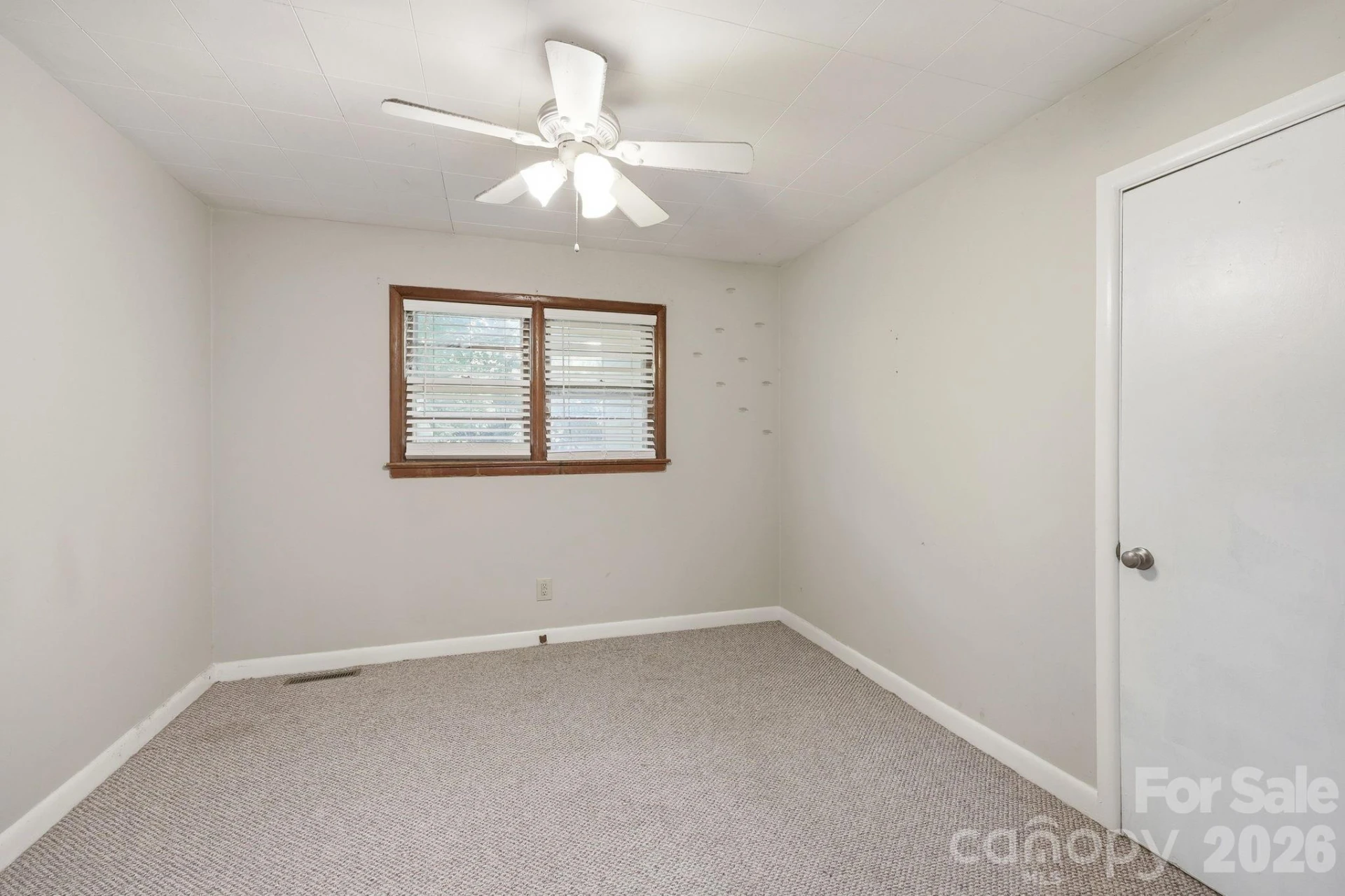 31 Edwards Street - Photo 16