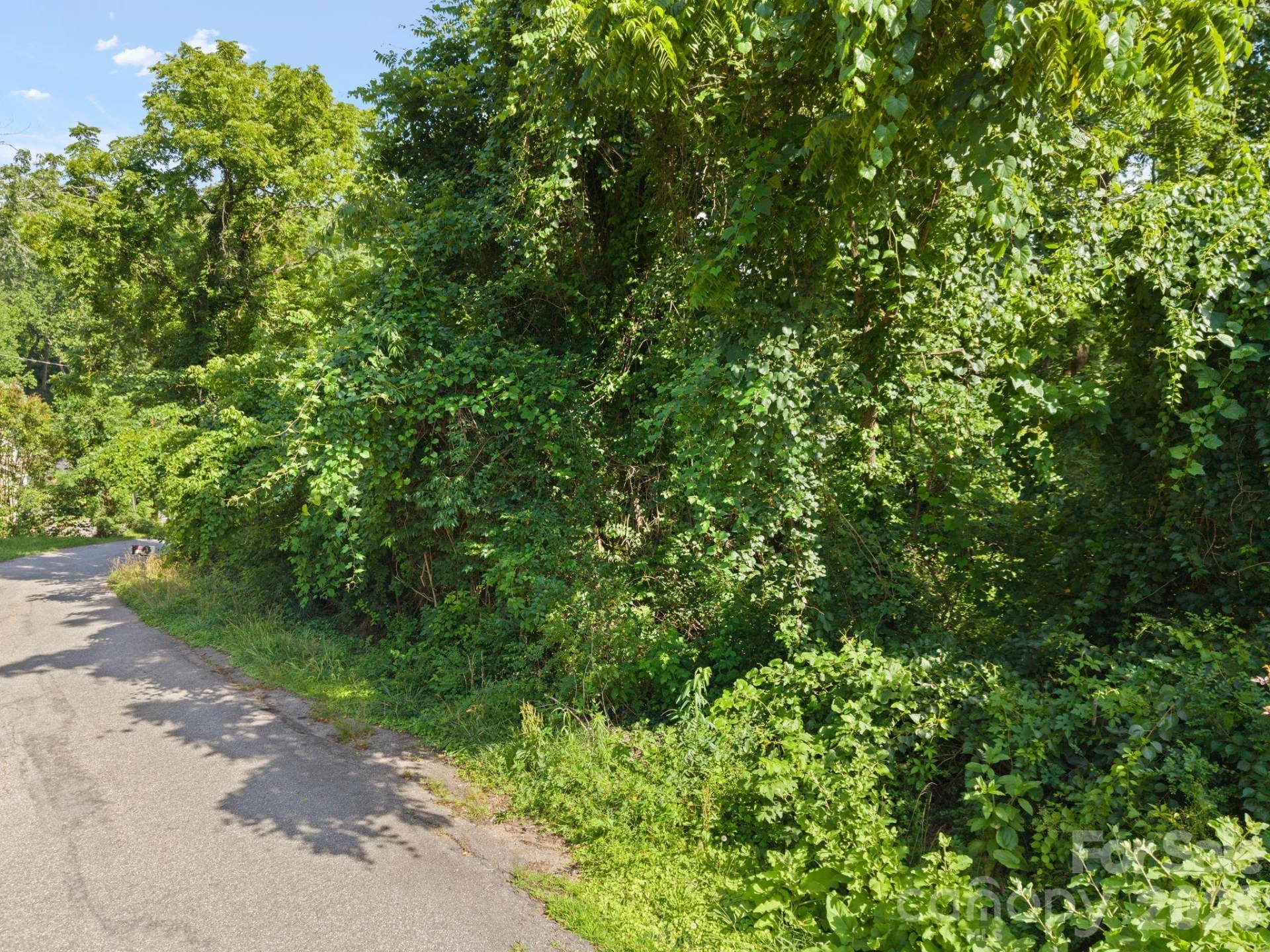75 Green Oak Road - Photo 3