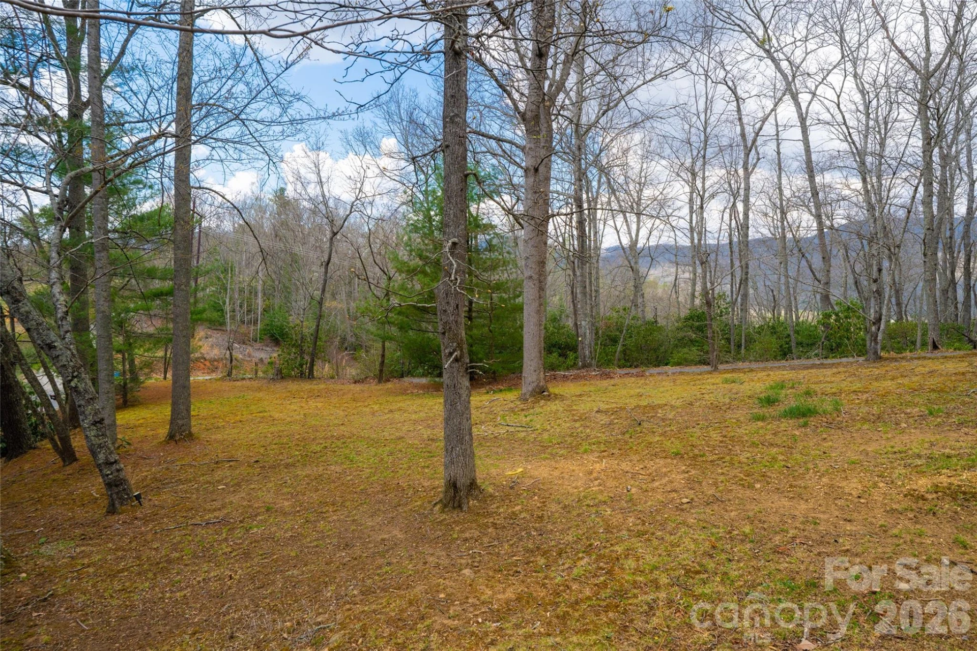 233 Church Road - Photo 38