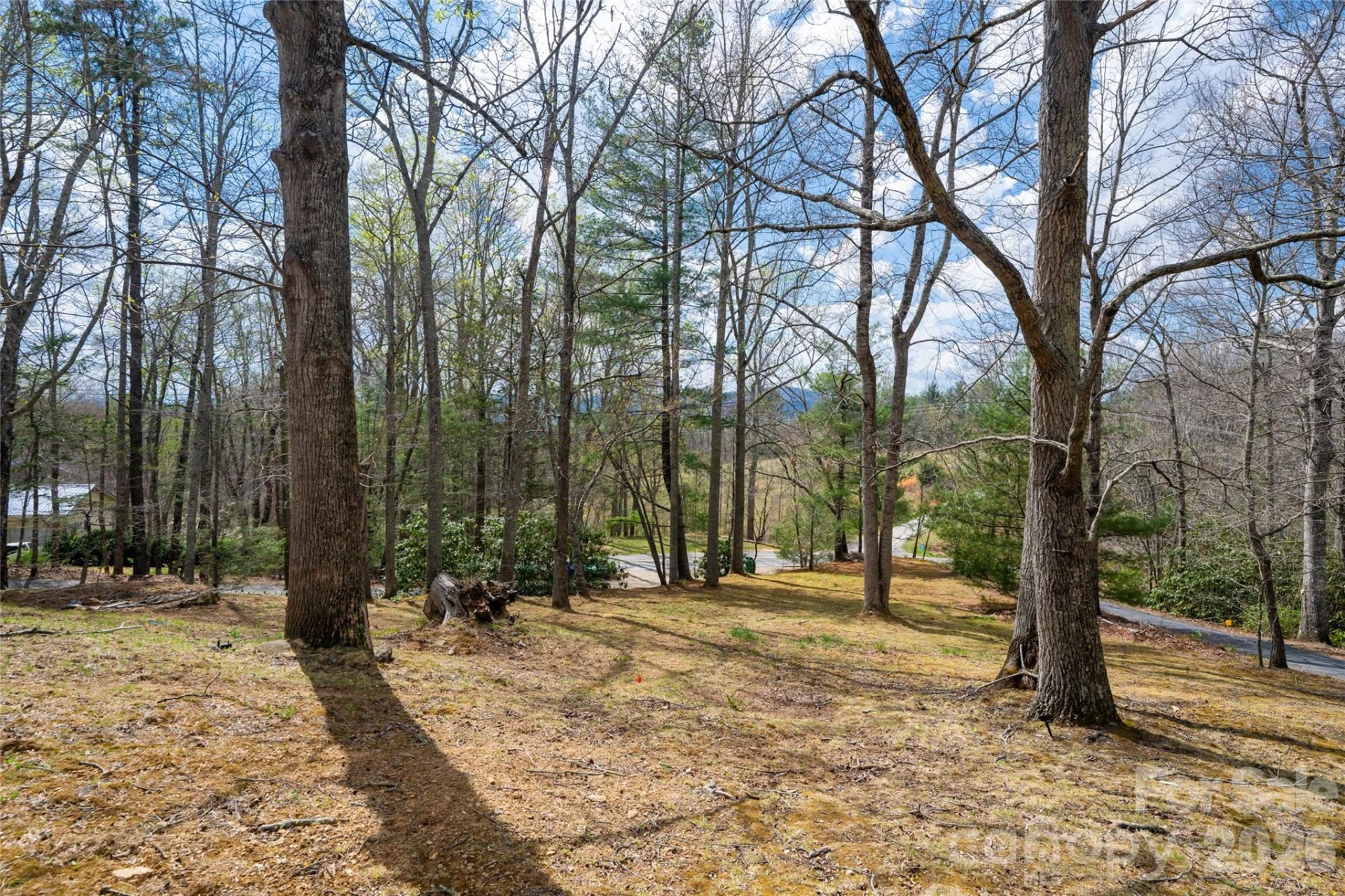 233 Church Road - Photo 36