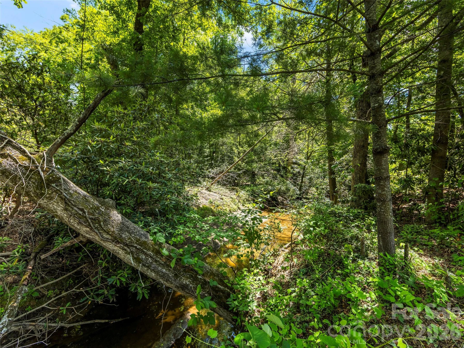742 Hiawassee Avenue - Photo 3