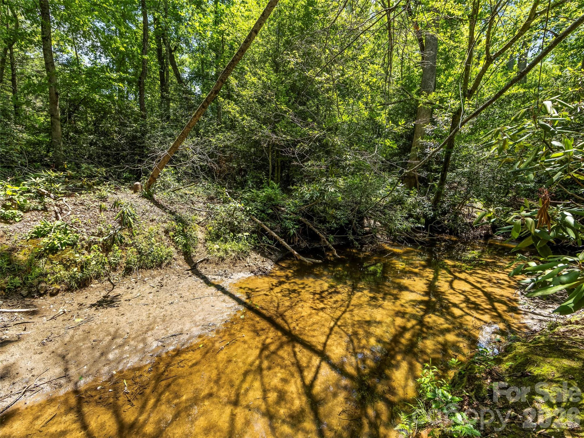 742 Hiawassee Avenue - Photo 4