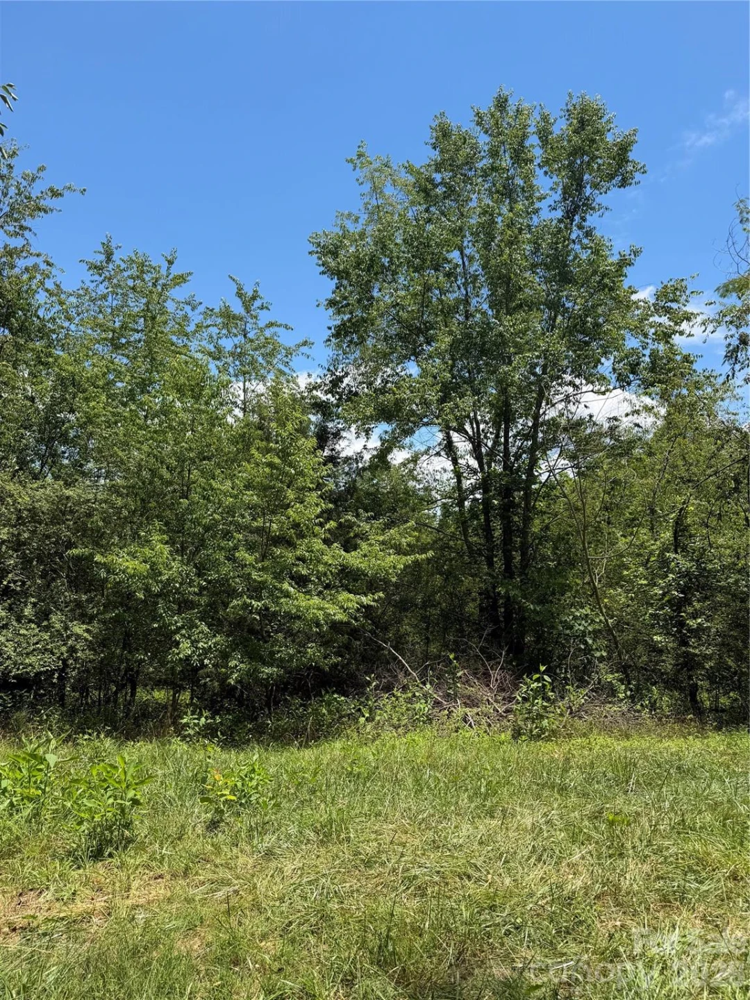 295 Old Mill Road - Photo 6