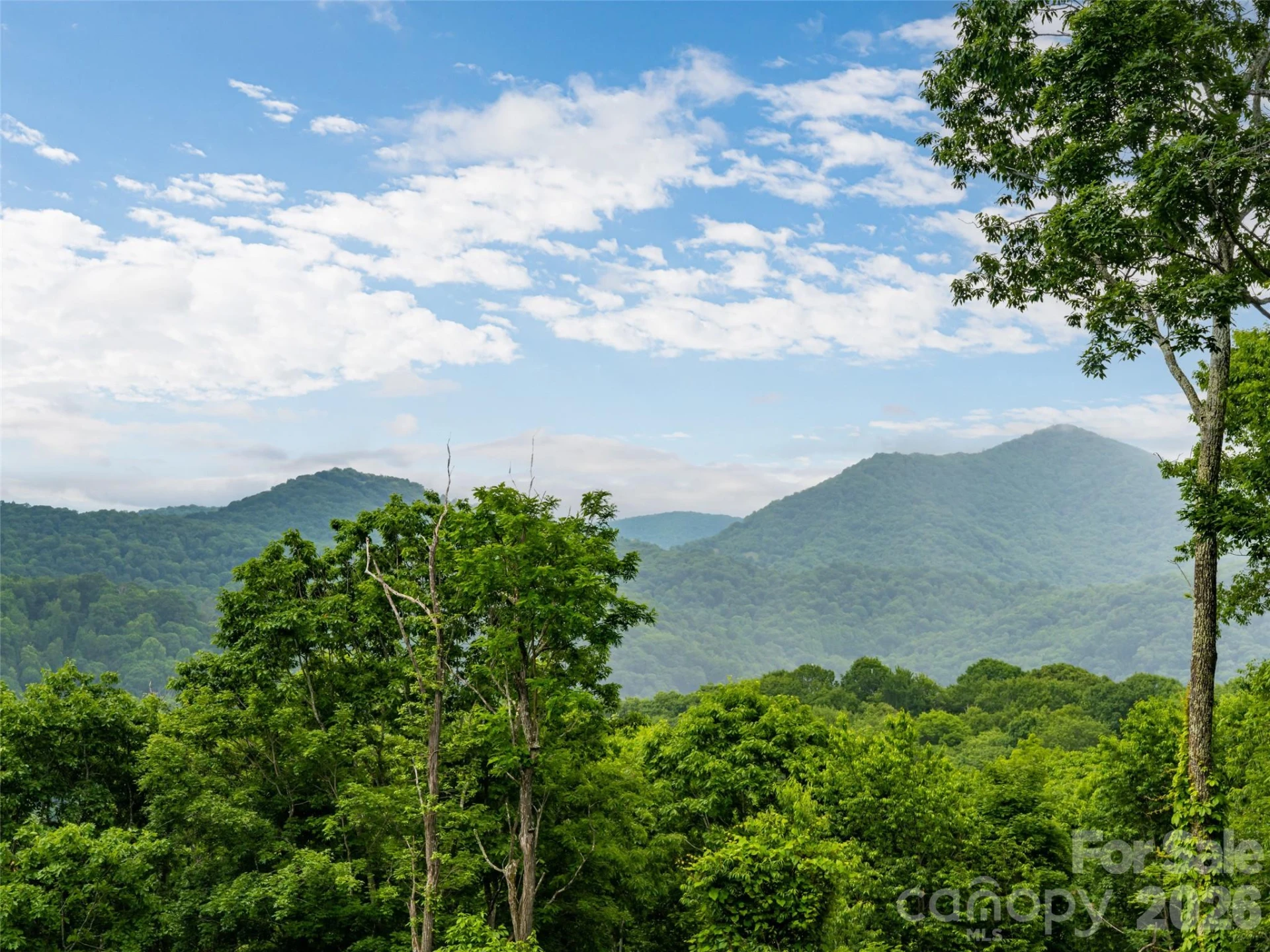 243 Pioneer Ridge Road - Photo 4
