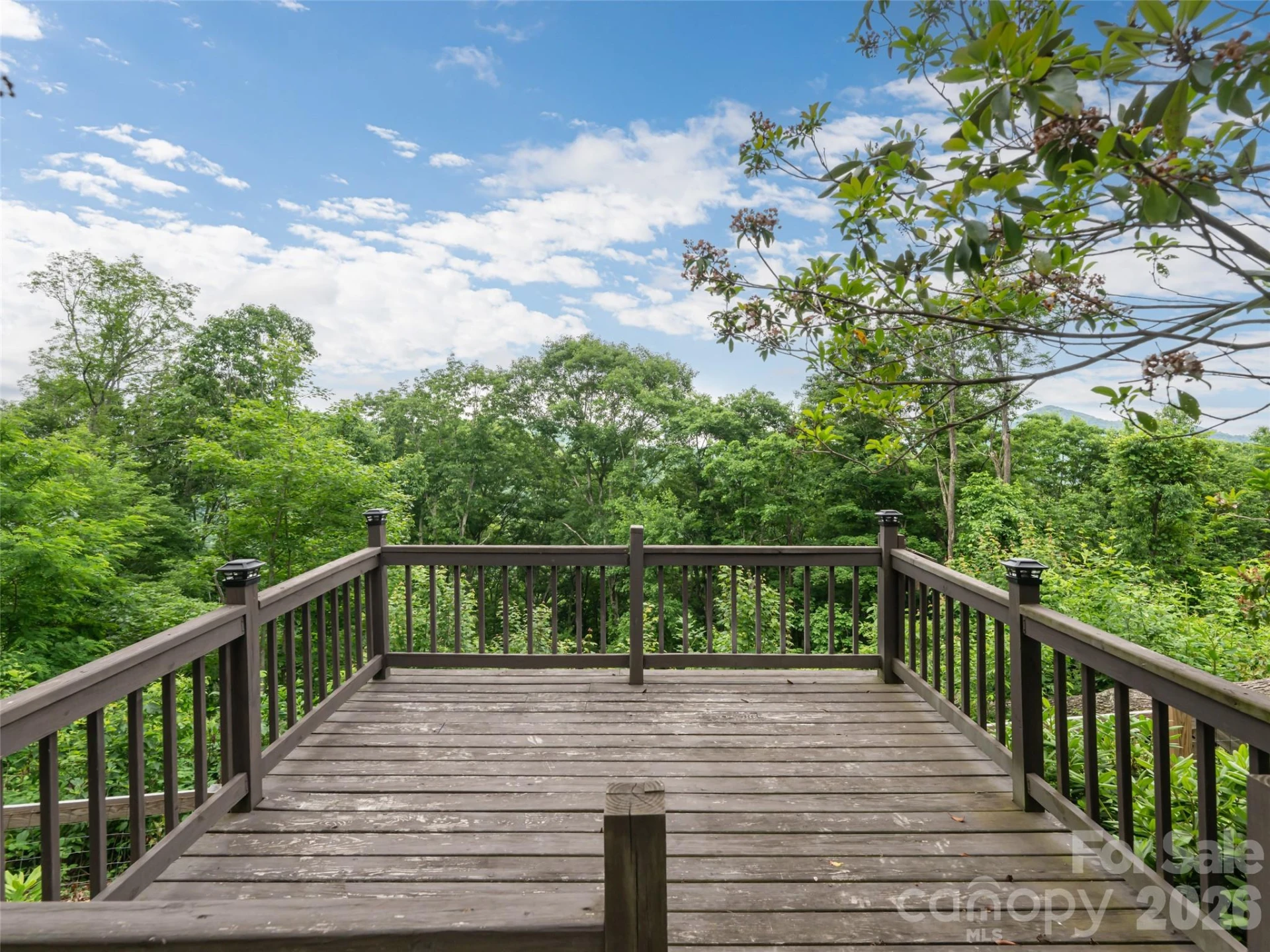 243 Pioneer Ridge Road - Photo 38
