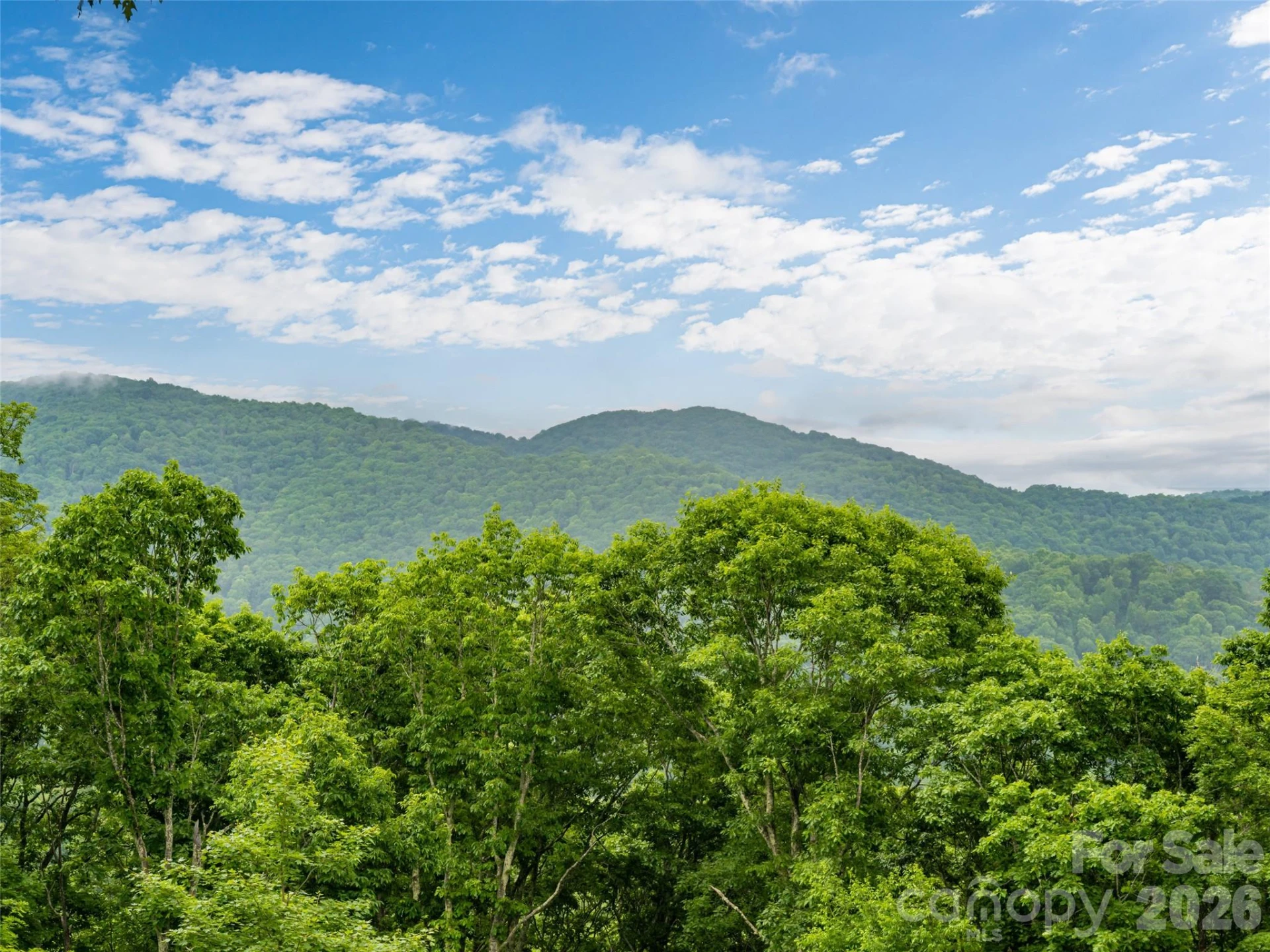 243 Pioneer Ridge Road - Photo 39
