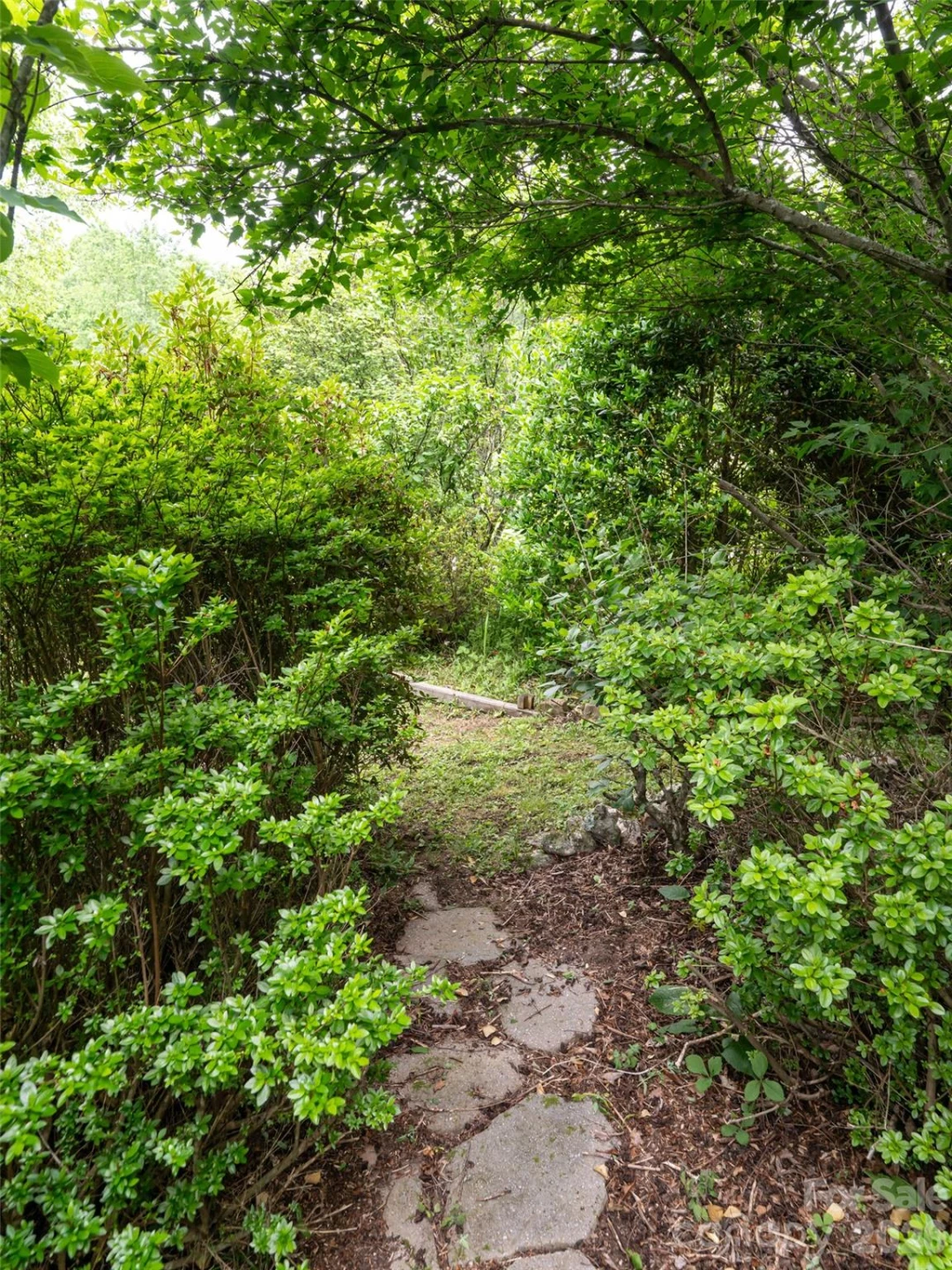 243 Pioneer Ridge Road - Photo 42