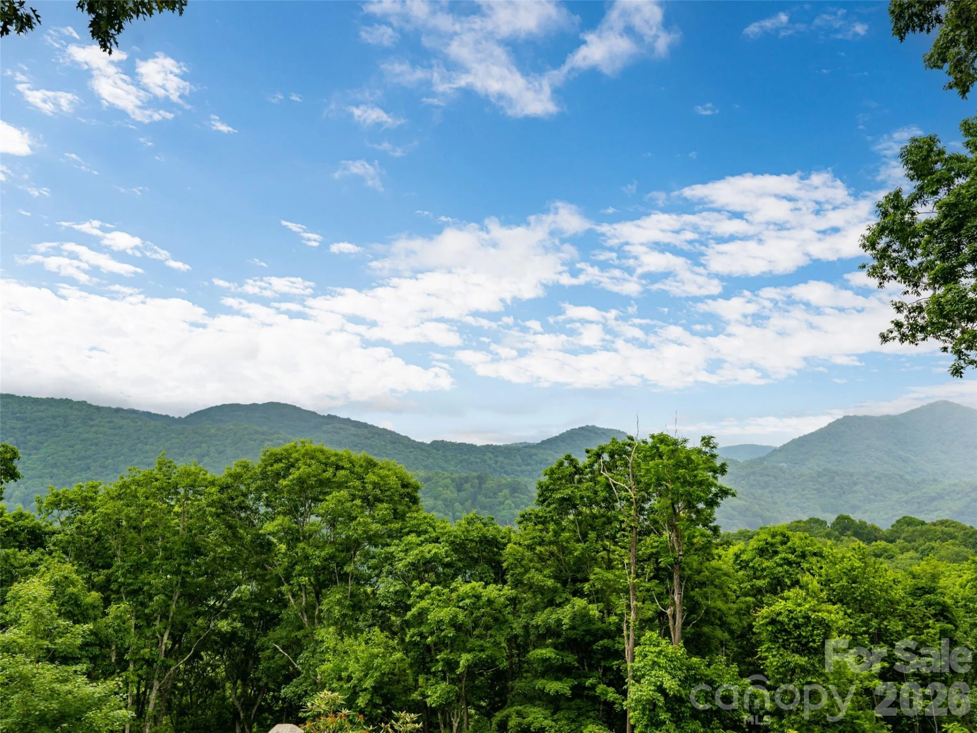 243 Pioneer Ridge Road - Photo 5