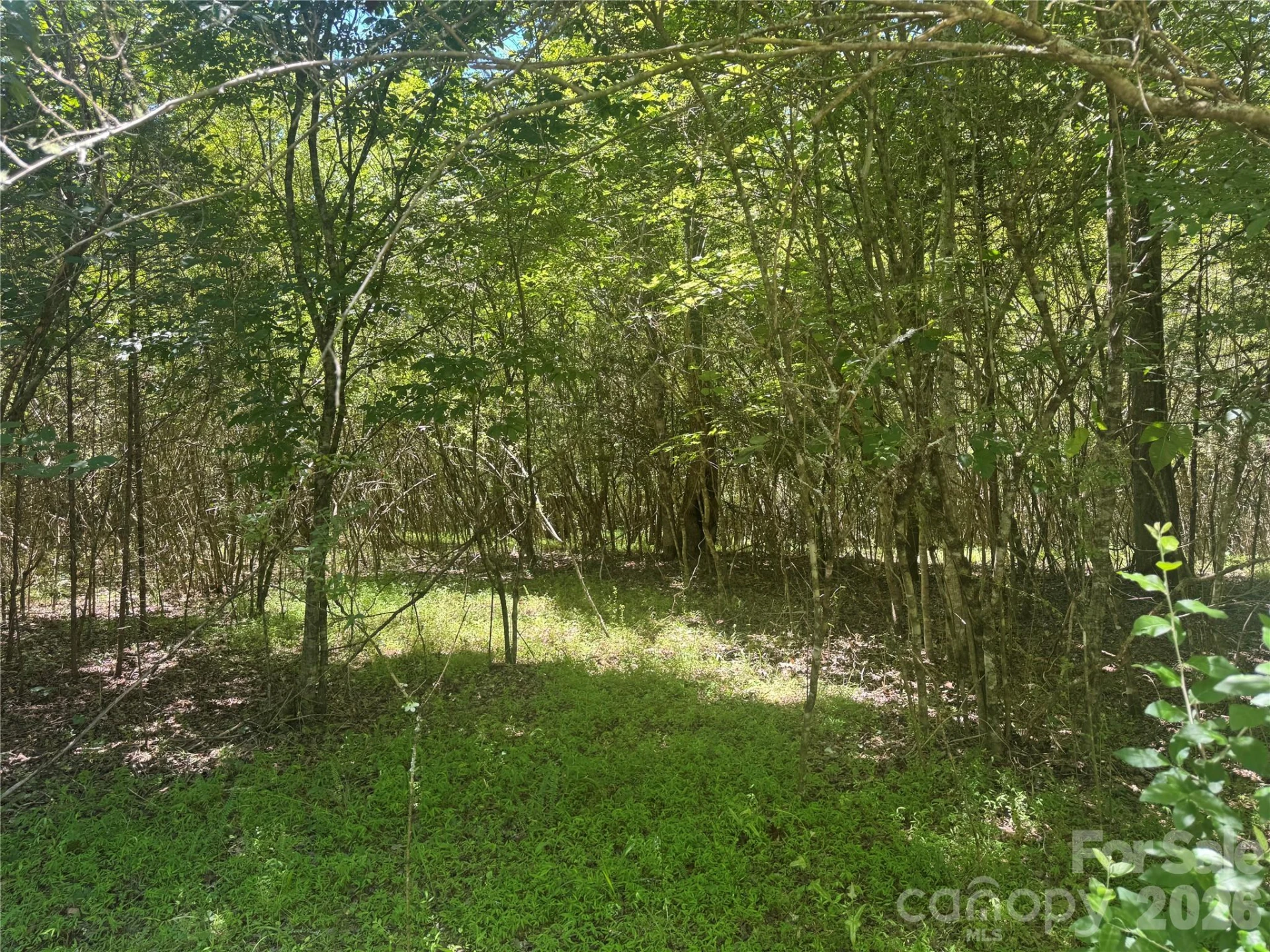 00 Desota Ridge #362 - Photo 7