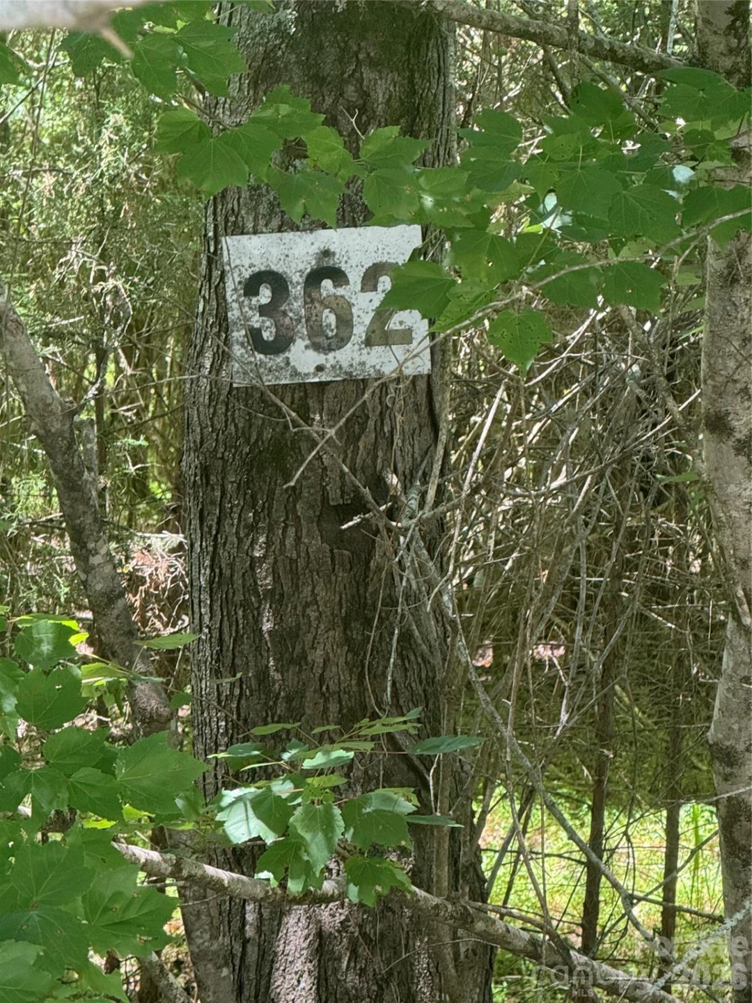 00 Desota Ridge #362 - Photo 10