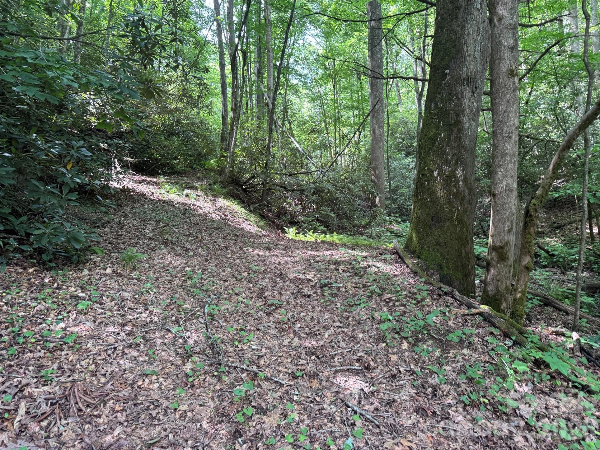 10A Reserve Road - Photo 2