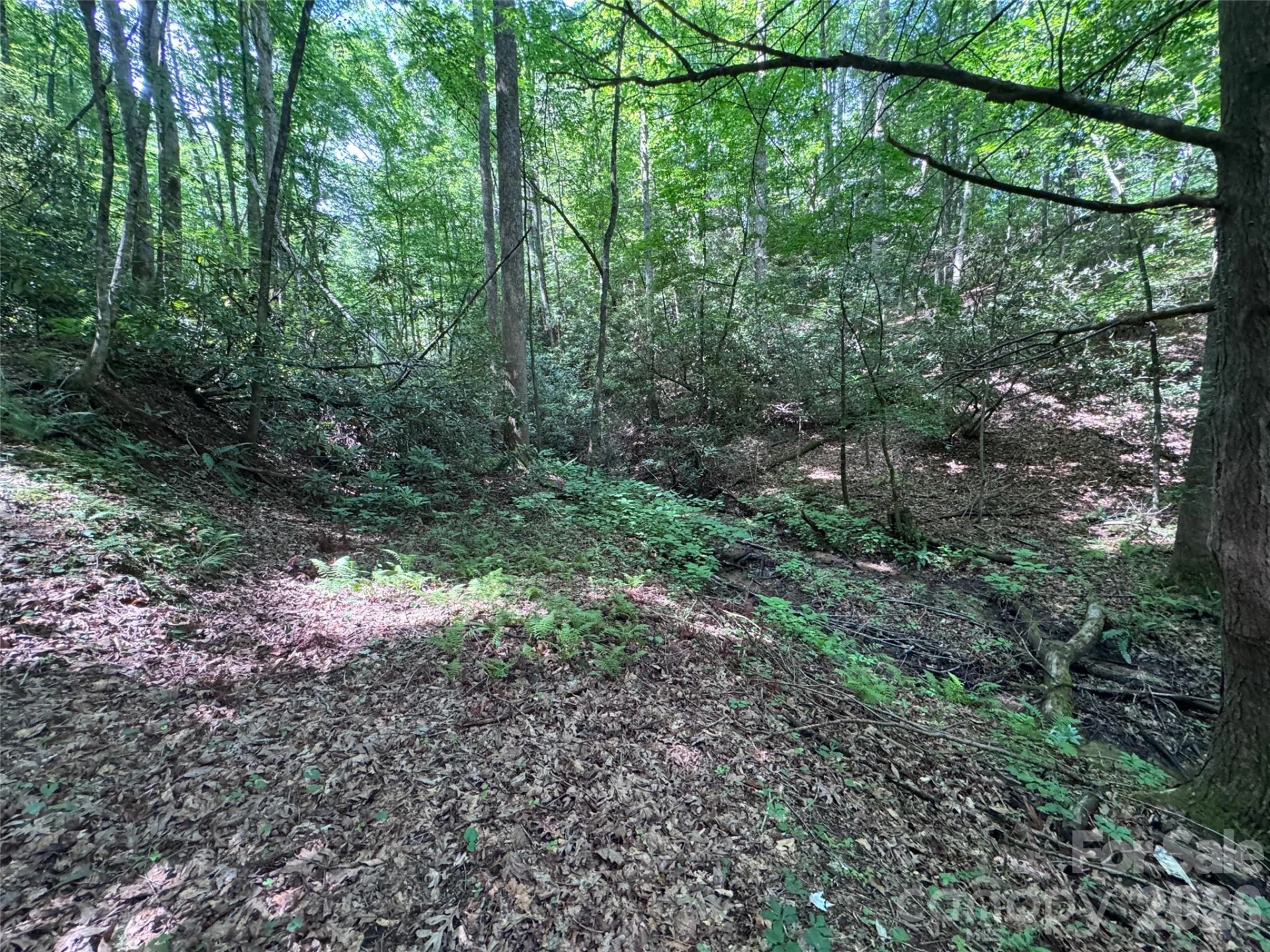 10A Reserve Road - Photo 15