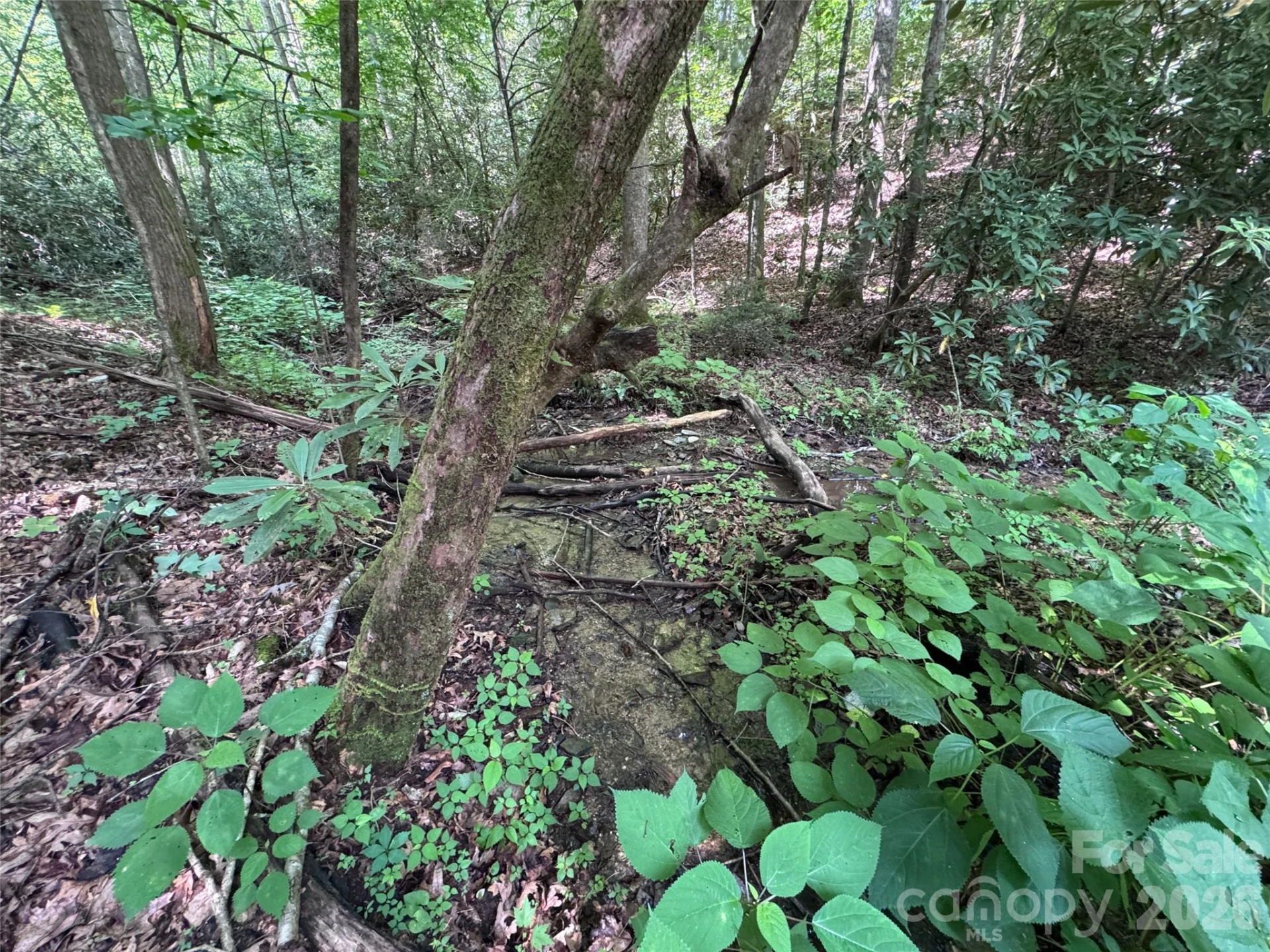 10A Reserve Road - Photo 16