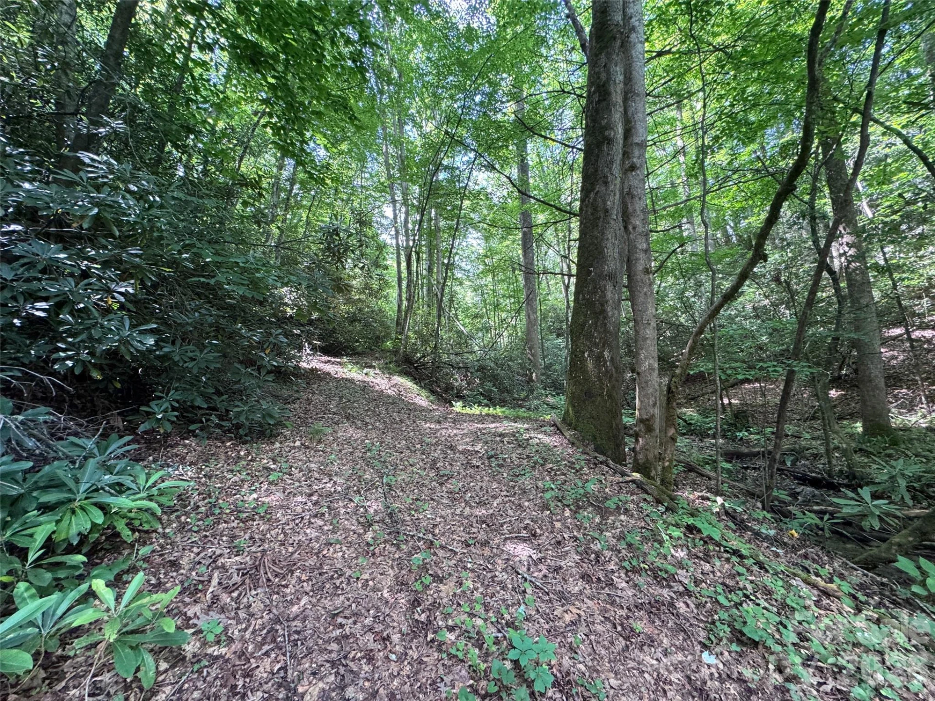 10A Reserve Road - Photo 17
