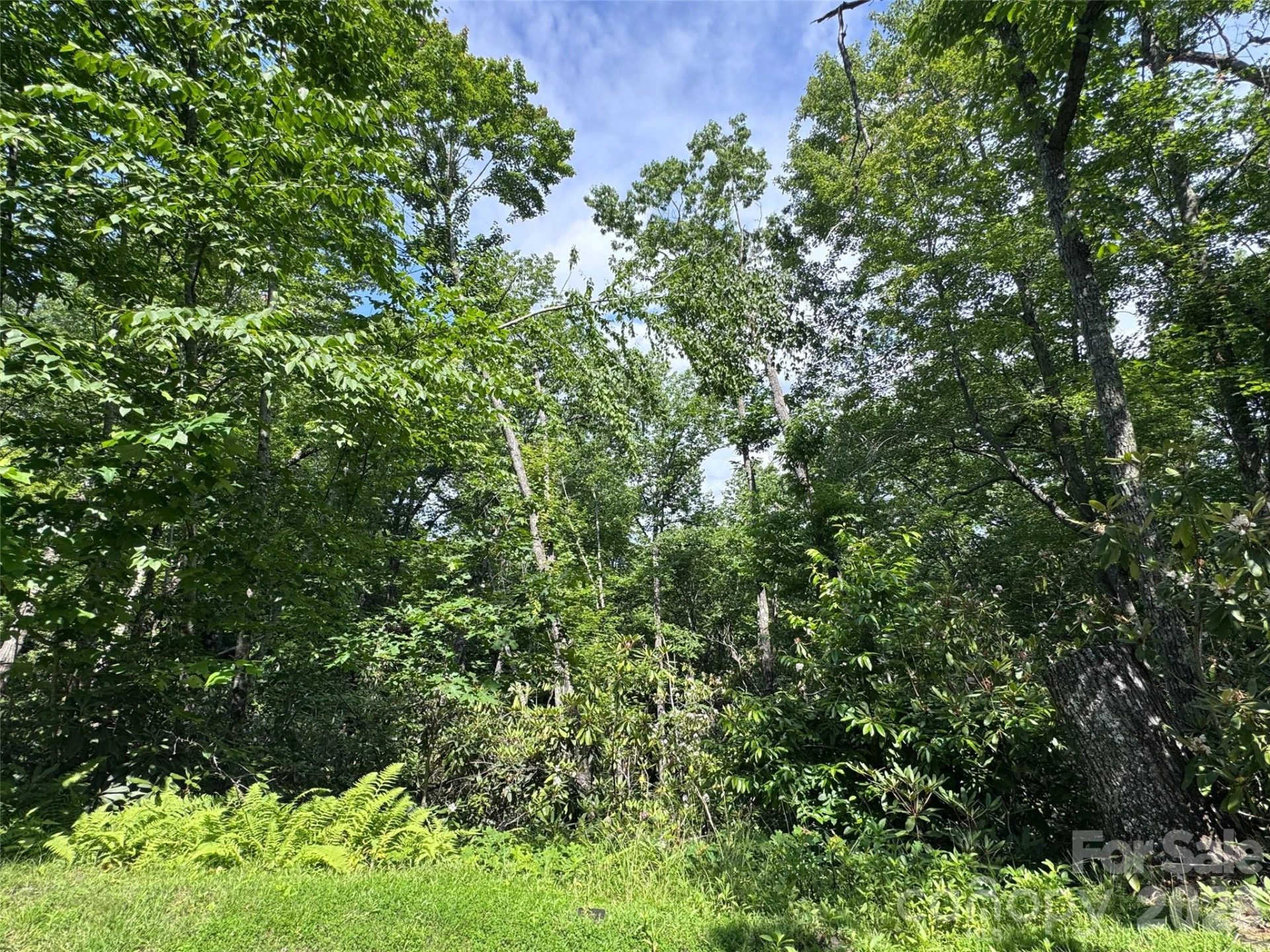 10A Reserve Road - Photo 18