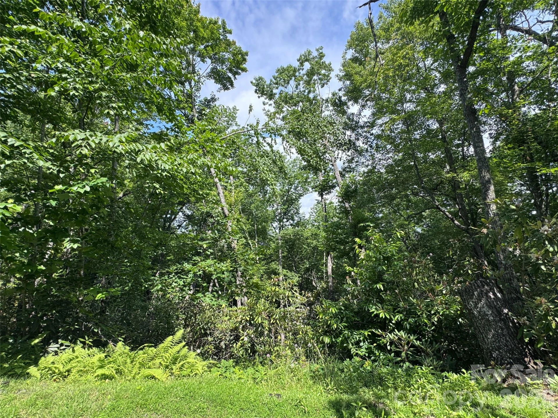 10A Reserve Road - Photo 19