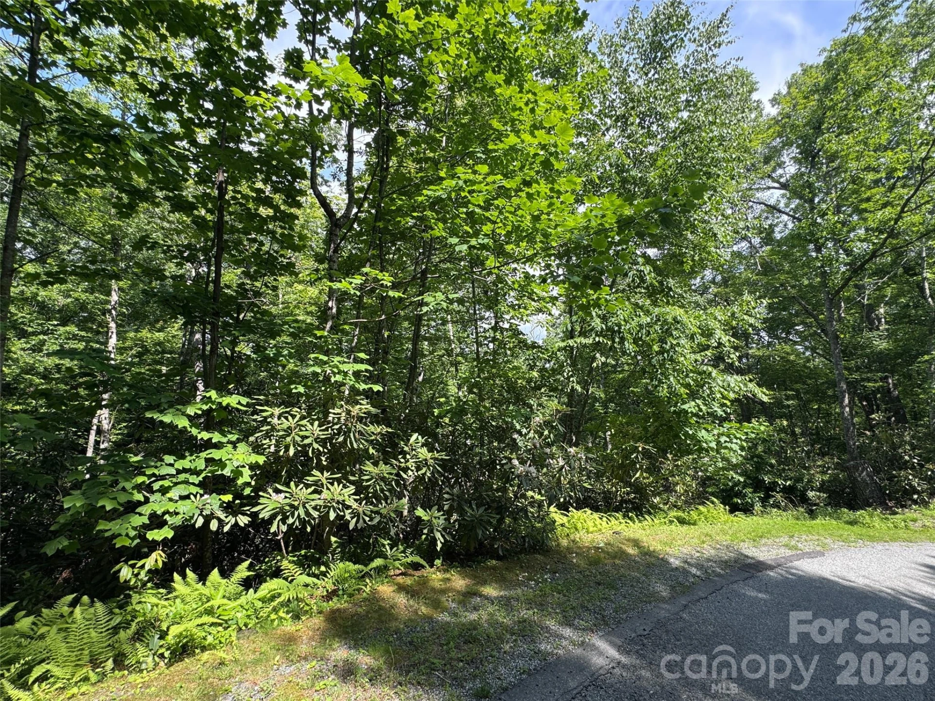 10A Reserve Road - Photo 20
