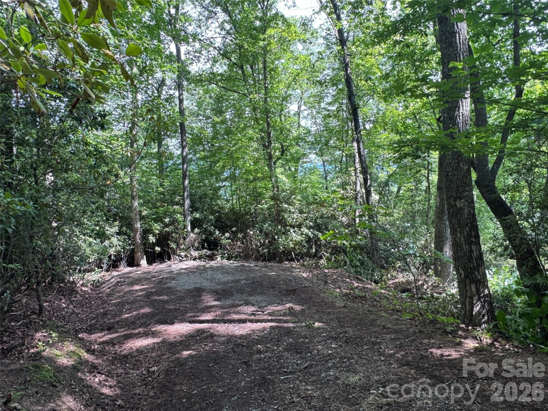 10A Reserve Road - Photo 3