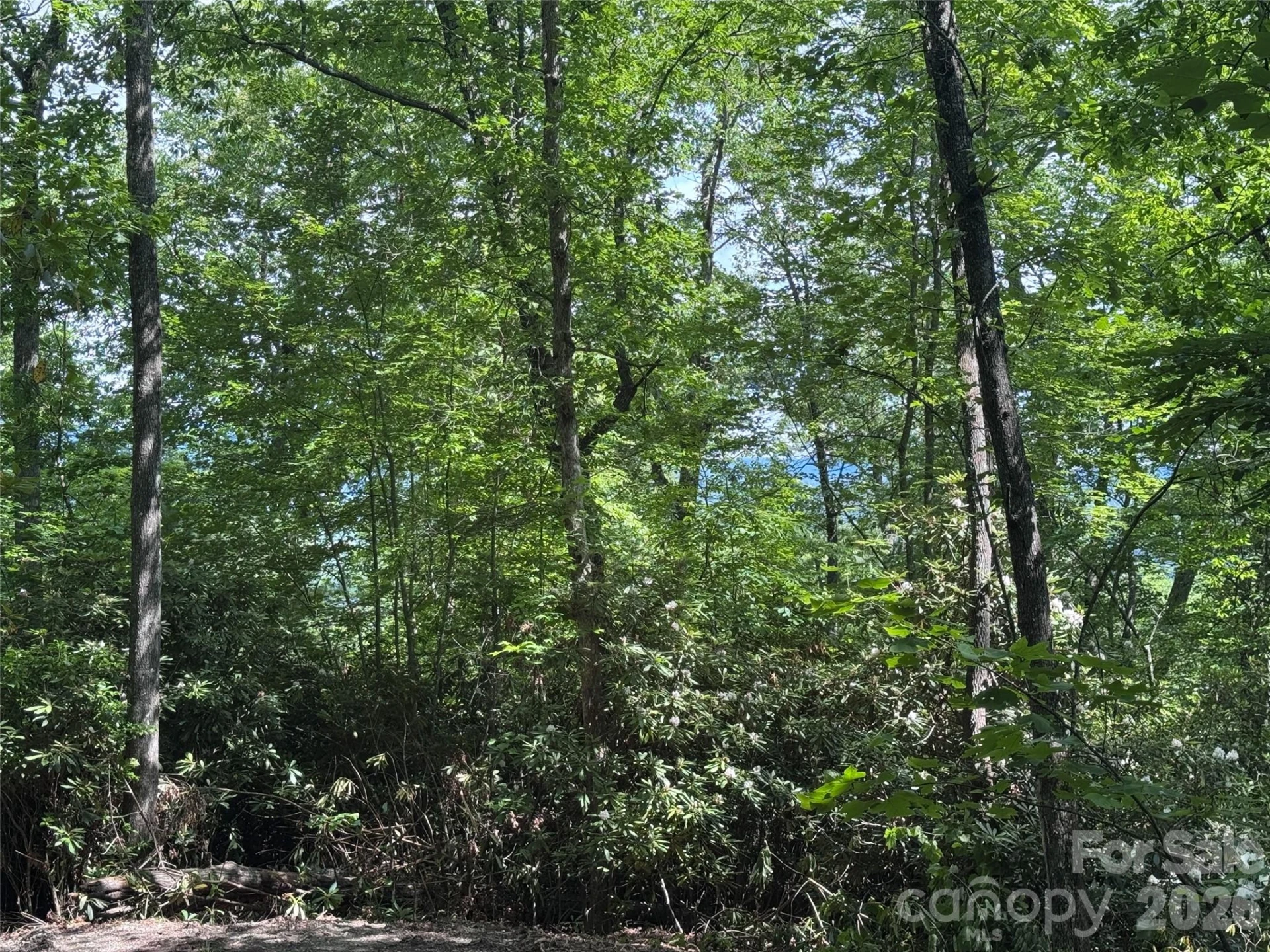10A Reserve Road - Photo 22