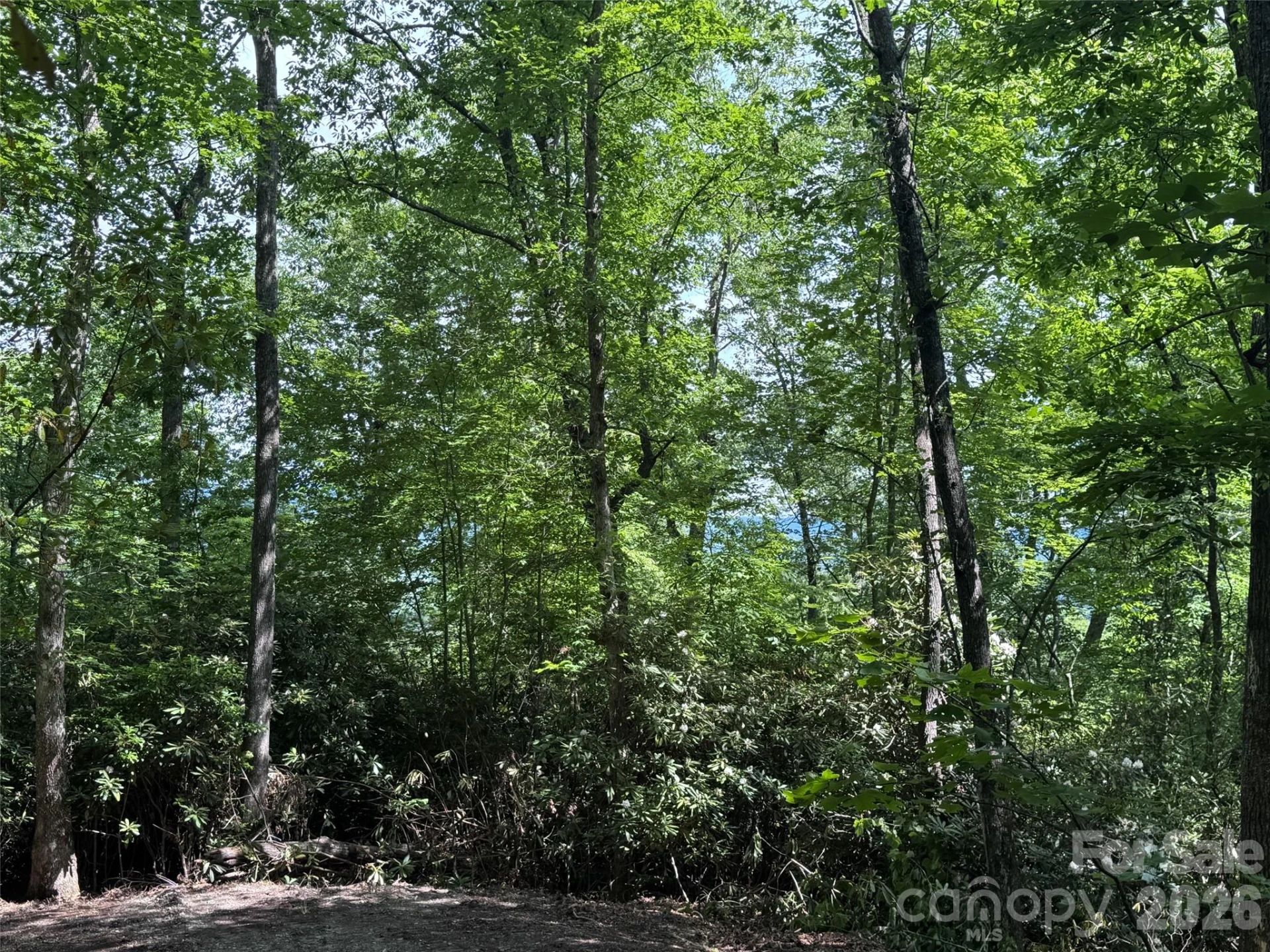 10A Reserve Road - Photo 23