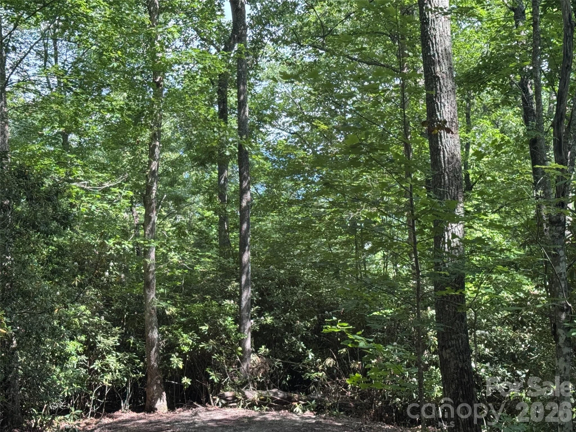 10A Reserve Road - Photo 25