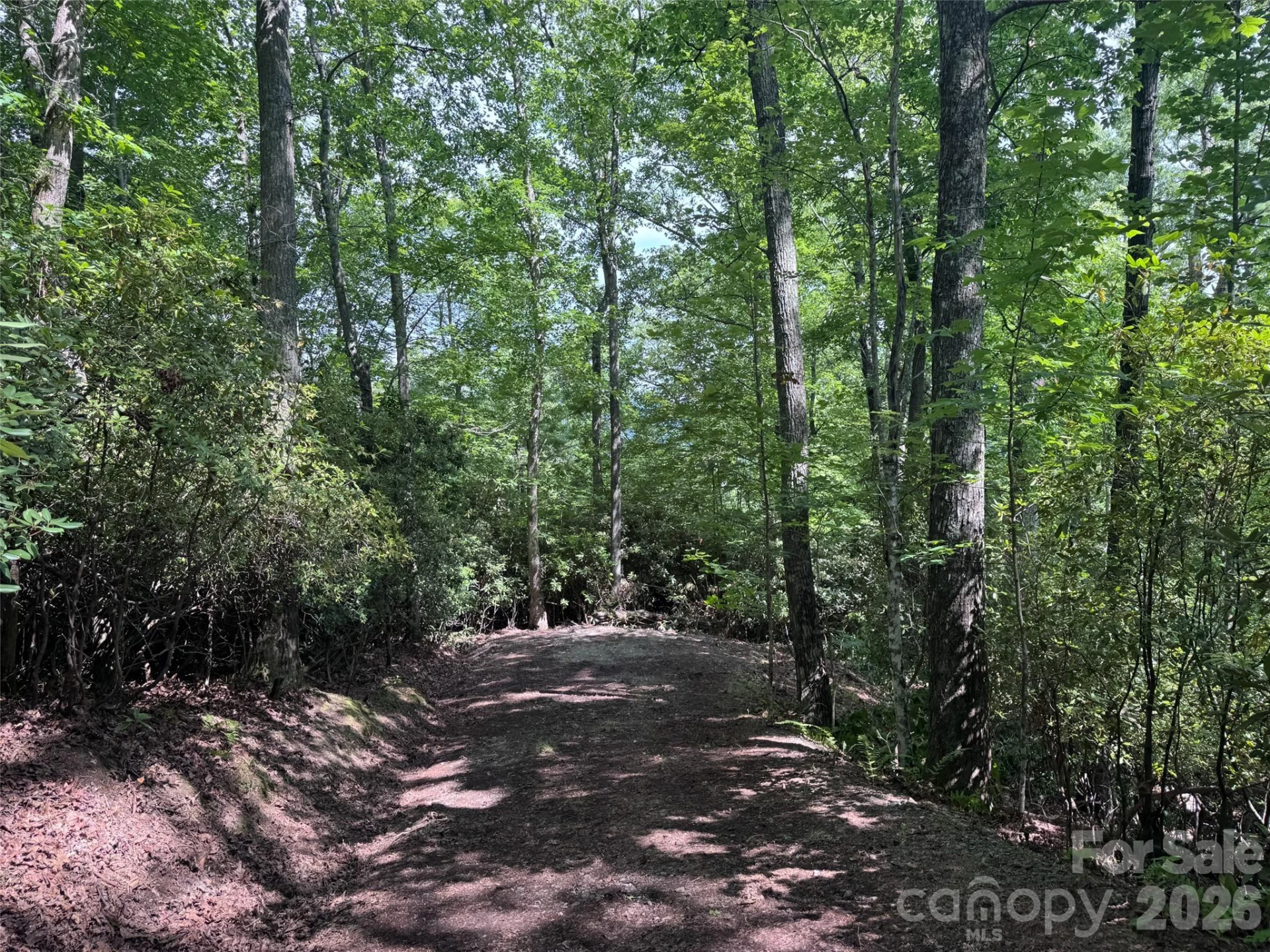 10A Reserve Road - Photo 26