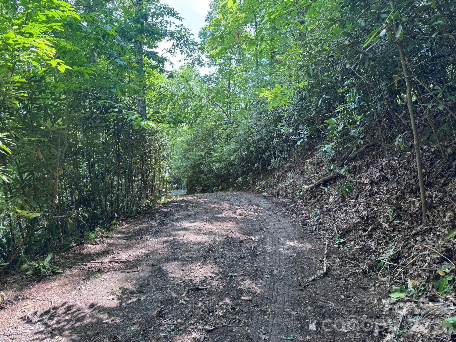 10A Reserve Road - Photo 29