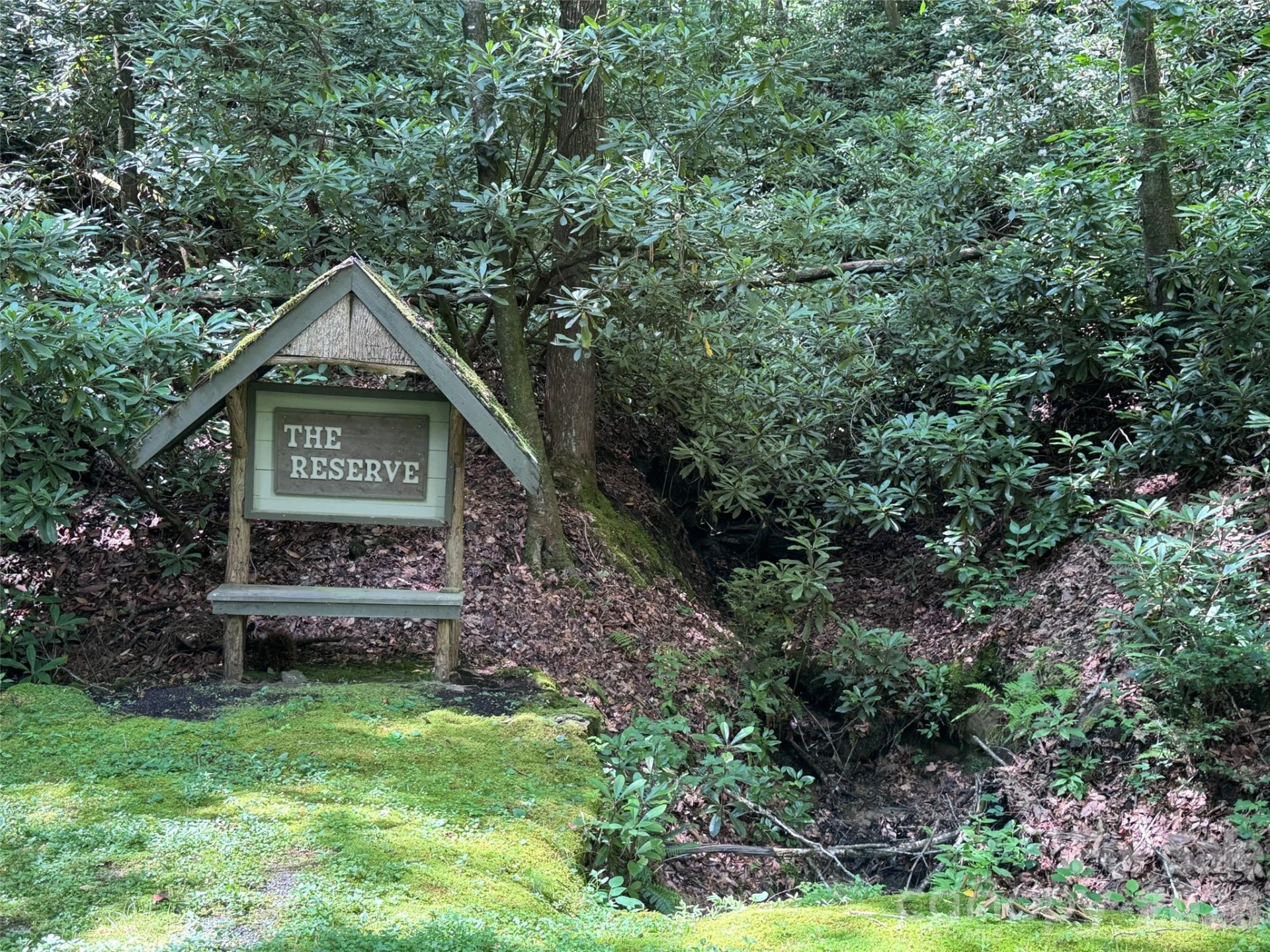 10A Reserve Road - Photo 4