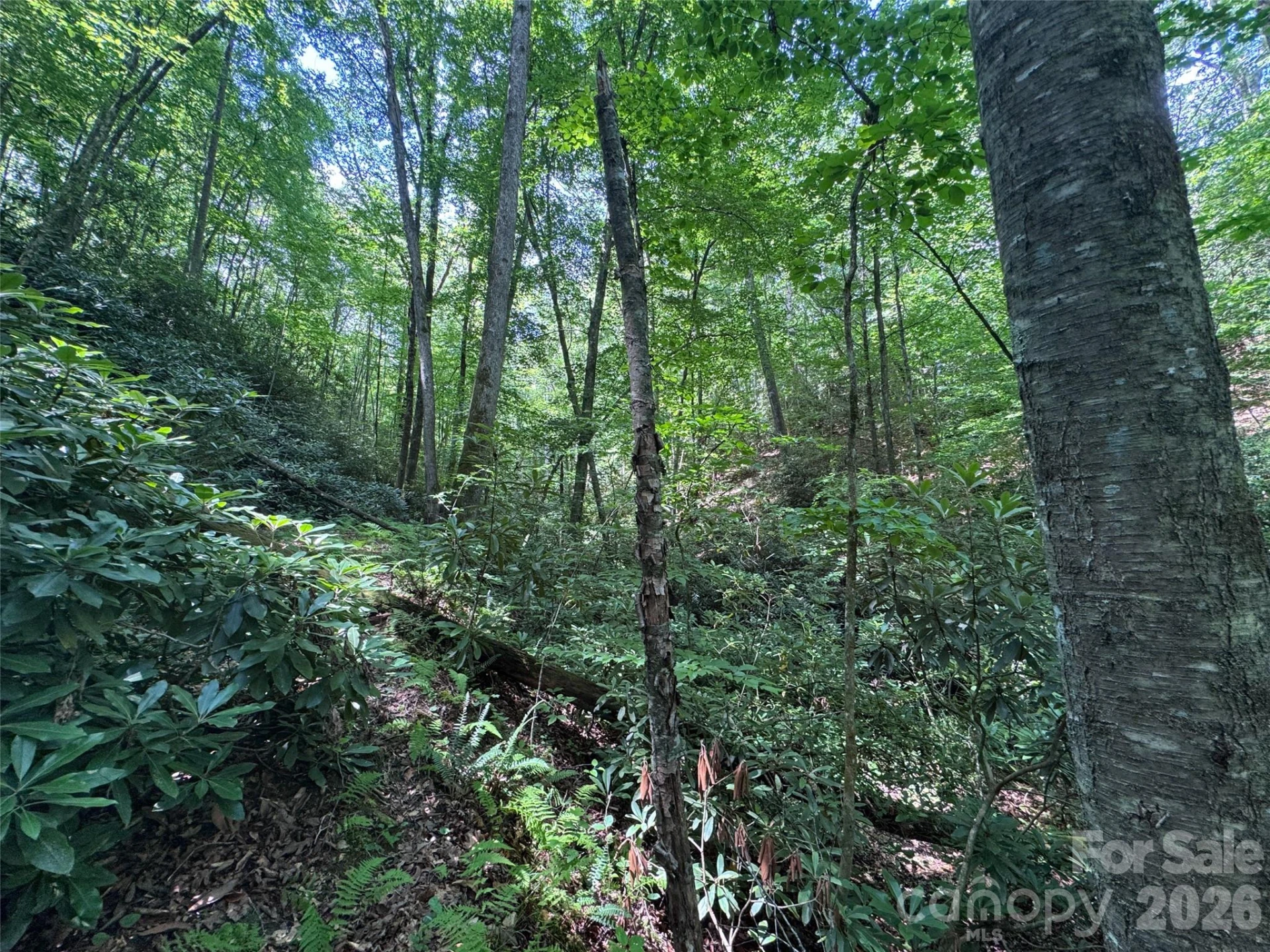 10A Reserve Road - Photo 6