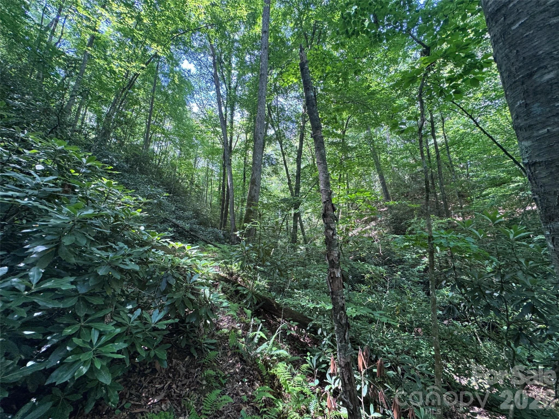 10A Reserve Road - Photo 7