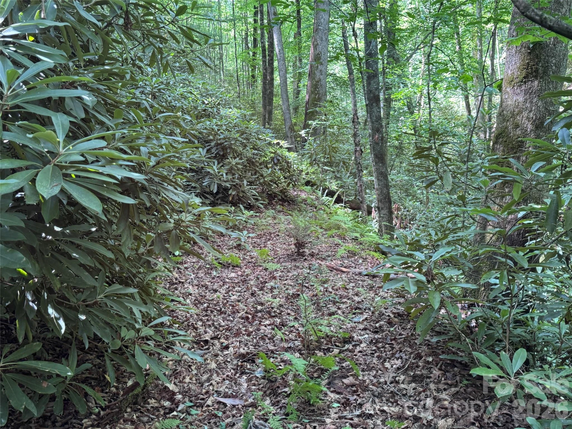 10A Reserve Road - Photo 9