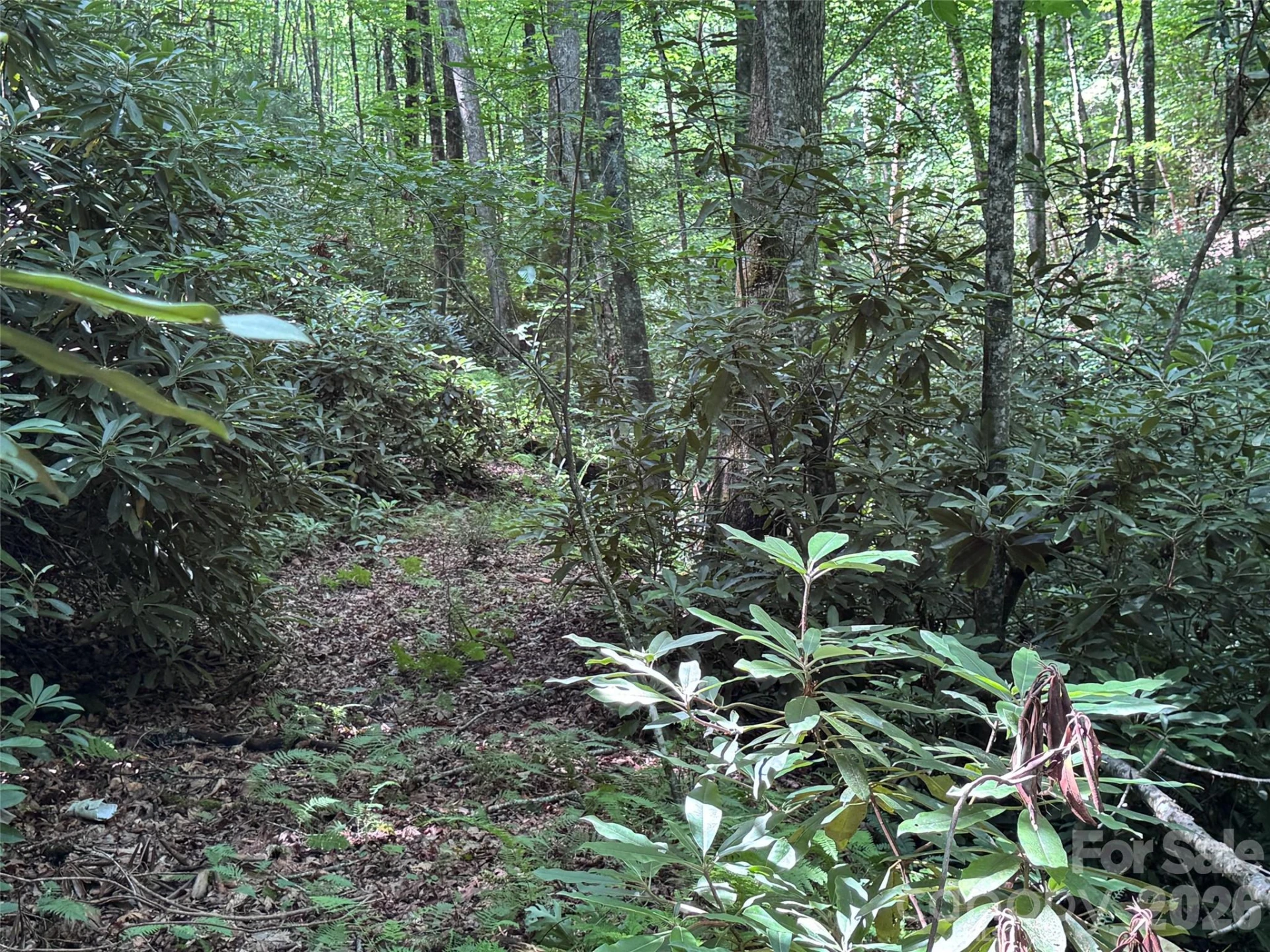 10A Reserve Road - Photo 10