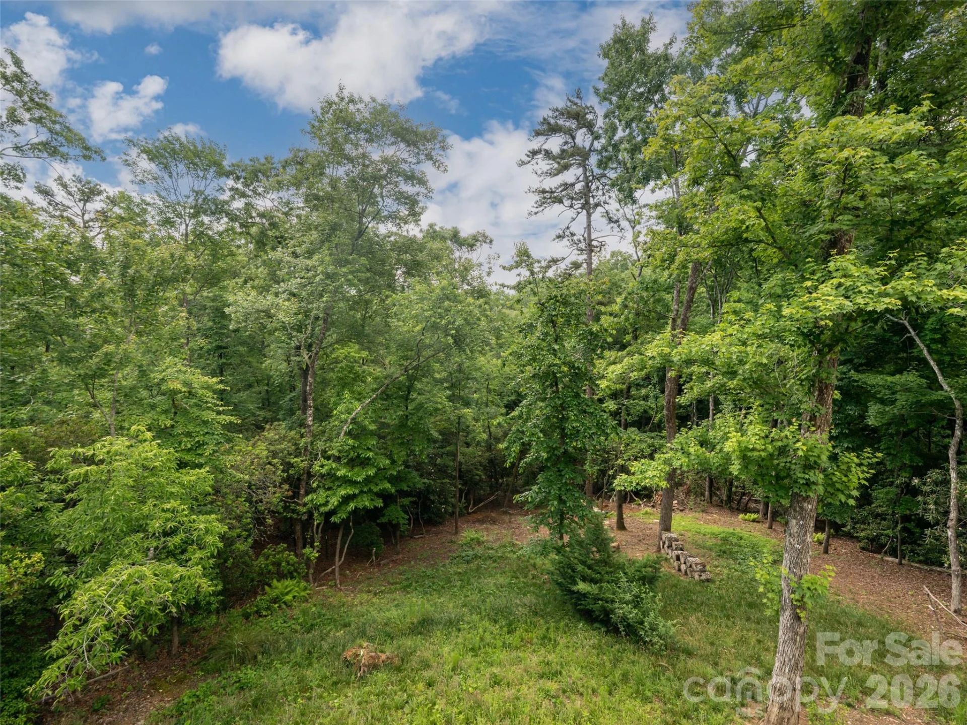 78 Boyd View Lane - Photo 18
