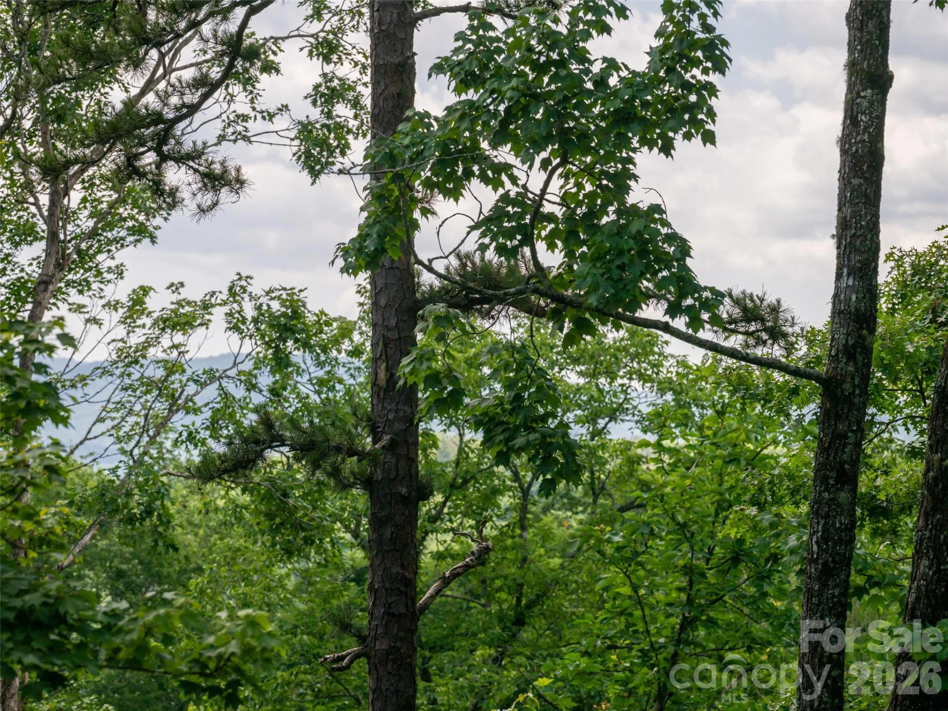 78 Boyd View Lane - Photo 40