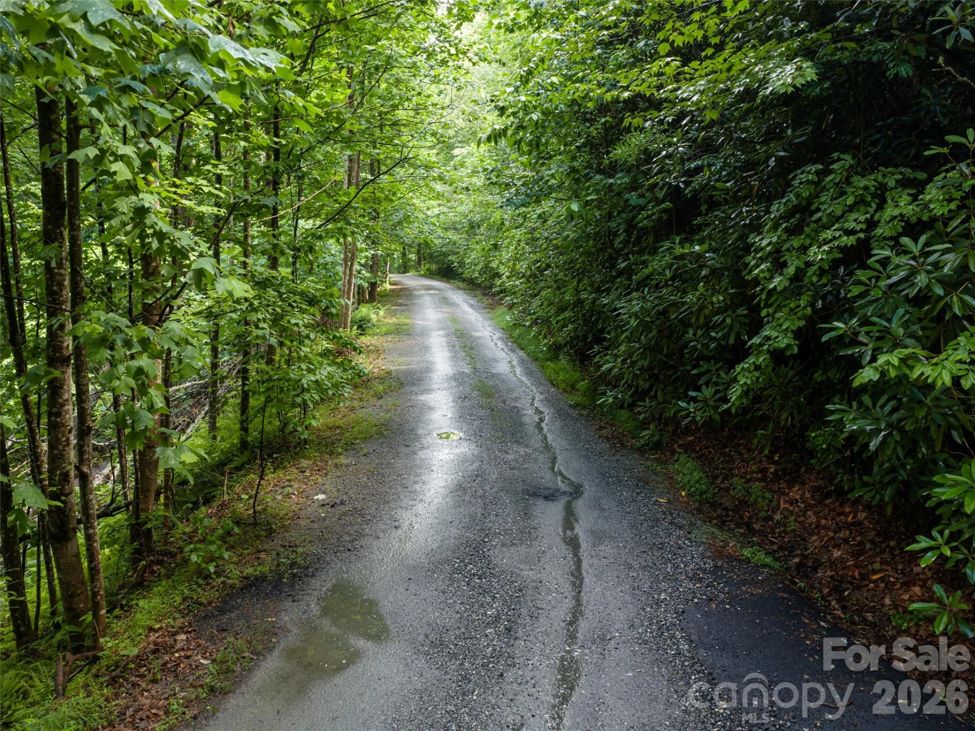 78 Boyd View Lane - Photo 47