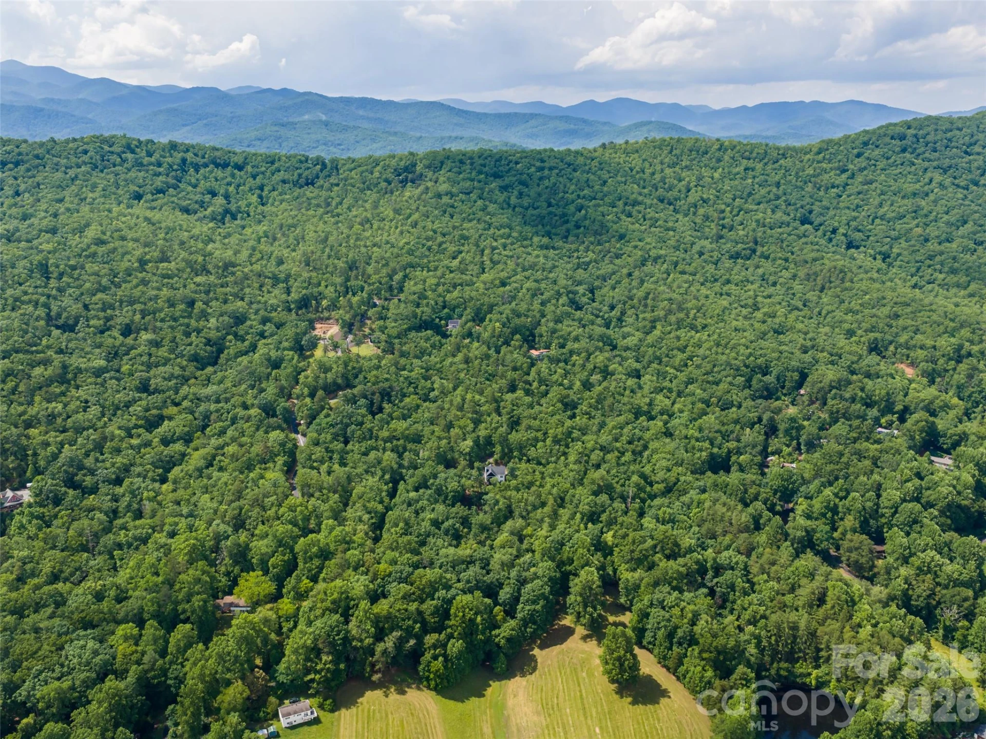 78 Boyd View Lane - Photo 48
