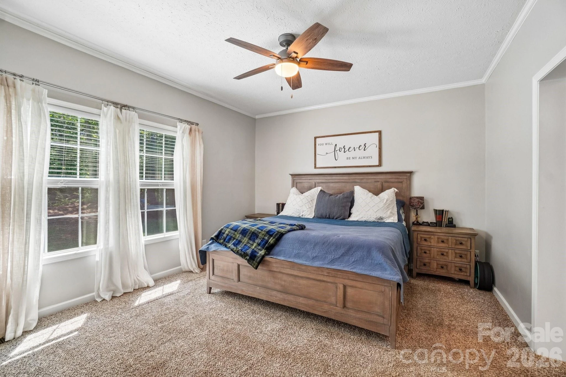 51 Hermit Springs Trail - Photo 22
