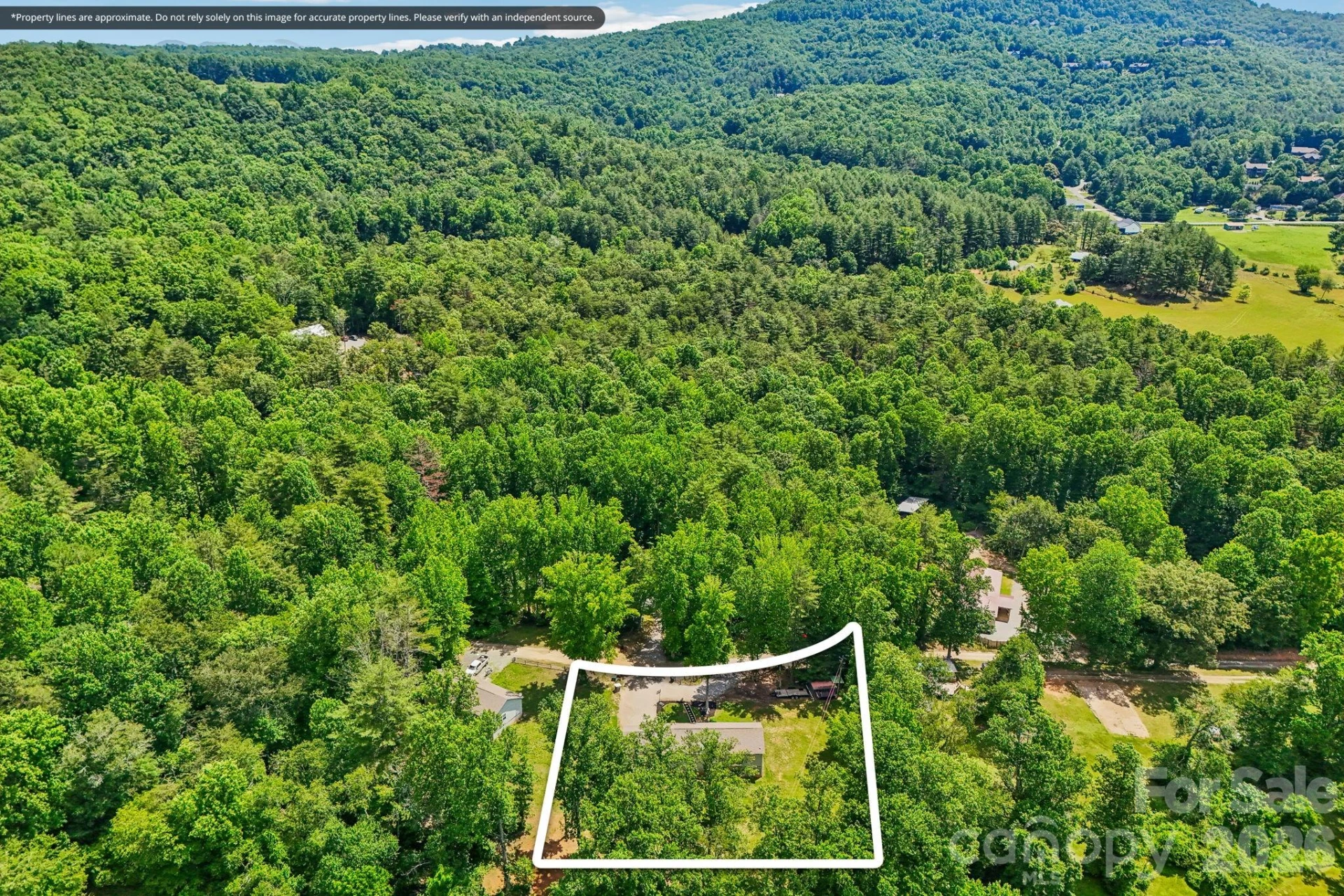 51 Hermit Springs Trail - Photo 39