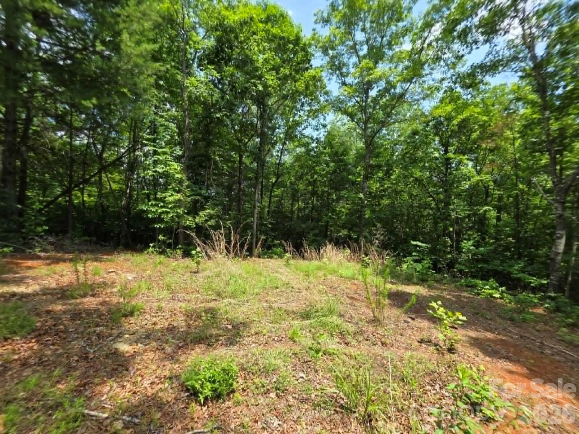 169 Fairfield Lane