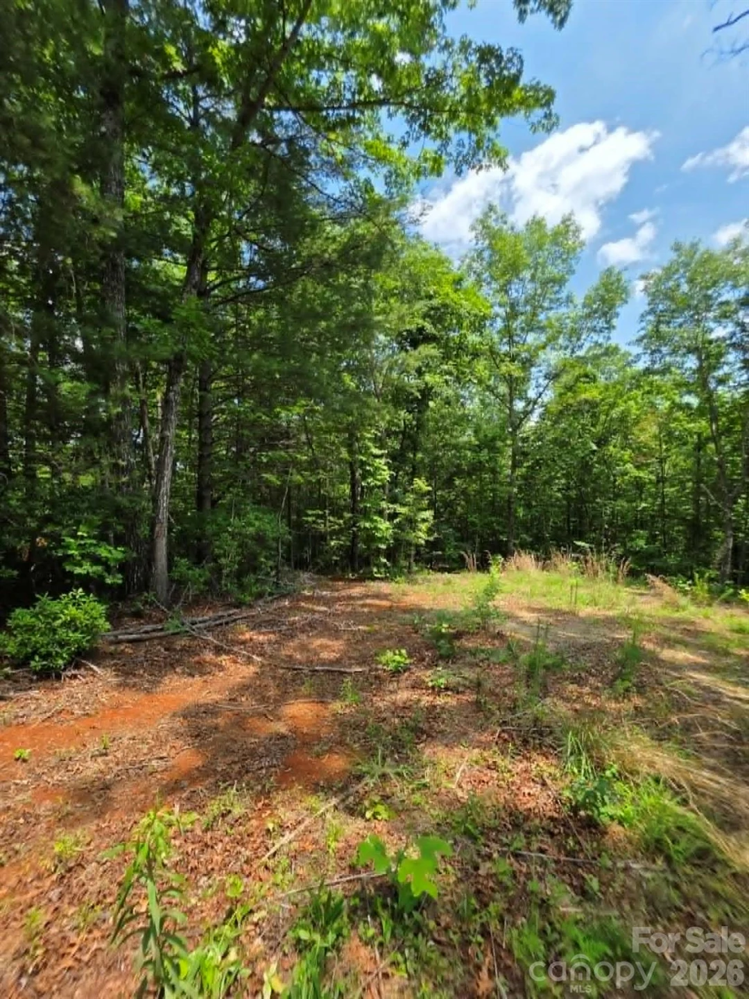 169 Fairfield Lane - Photo 11