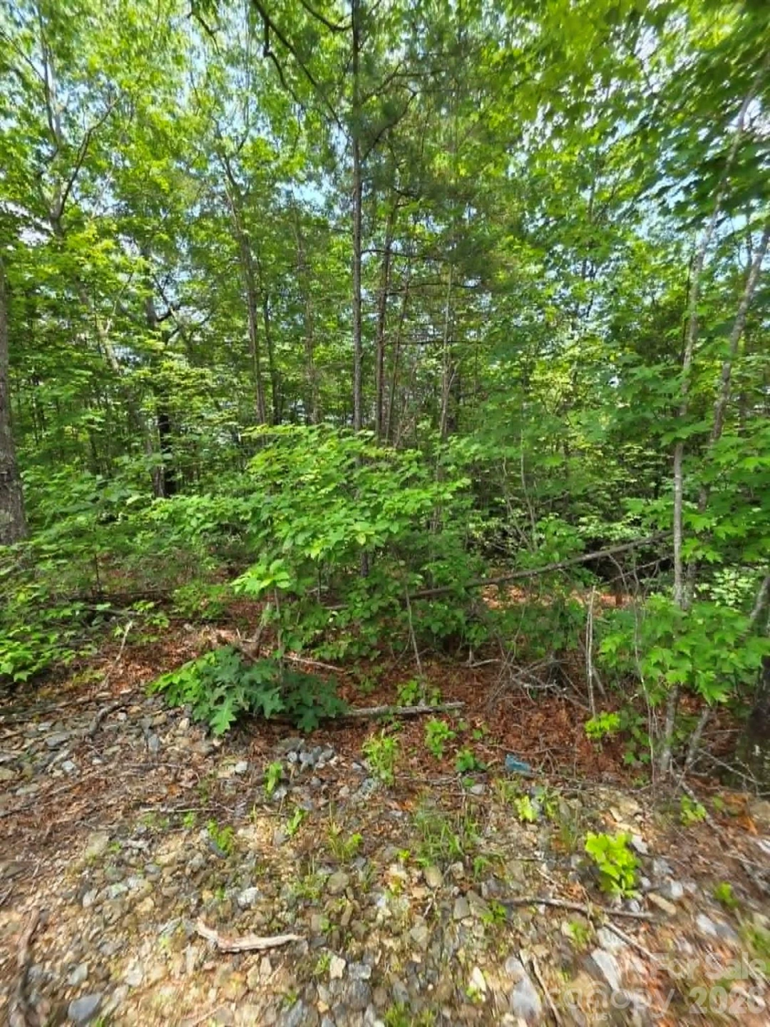 169 Fairfield Lane - Photo 13