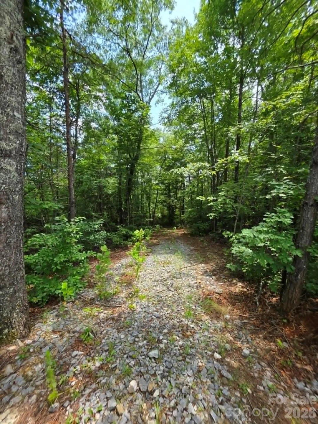 169 Fairfield Lane - Photo 14
