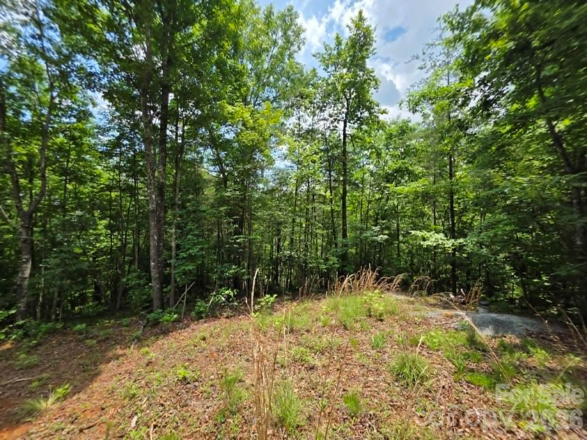 169 Fairfield Lane - Photo 7