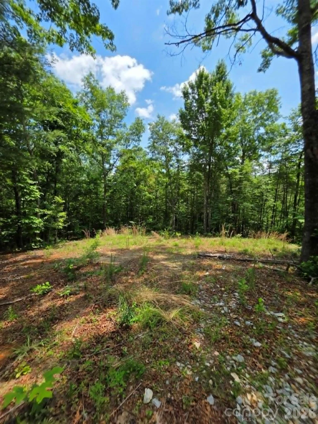 169 Fairfield Lane - Photo 8