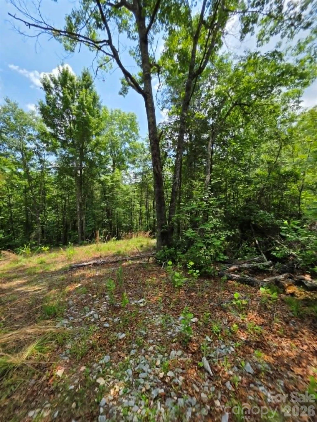 169 Fairfield Lane - Photo 9