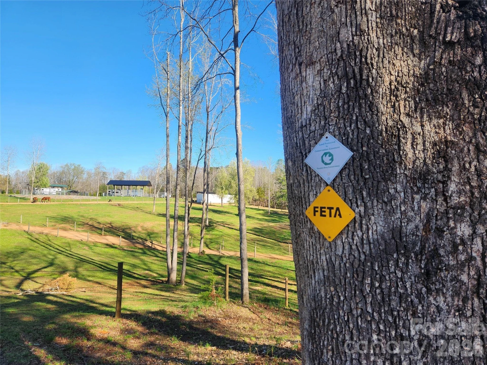 4085 Hunting Country Road - Photo 14