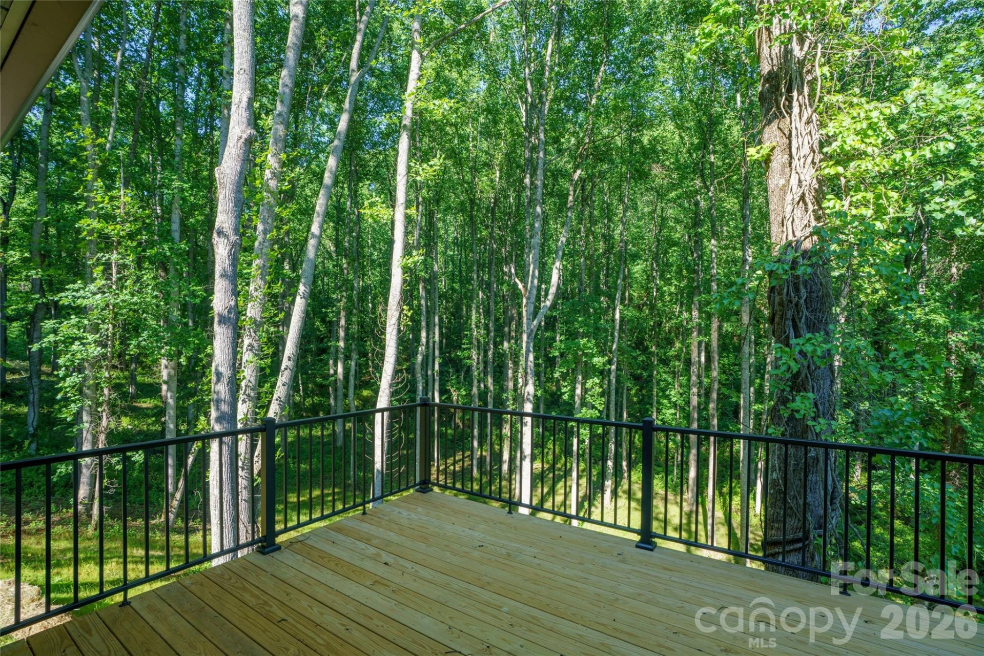 61 Bamboo Trail - Photo 5