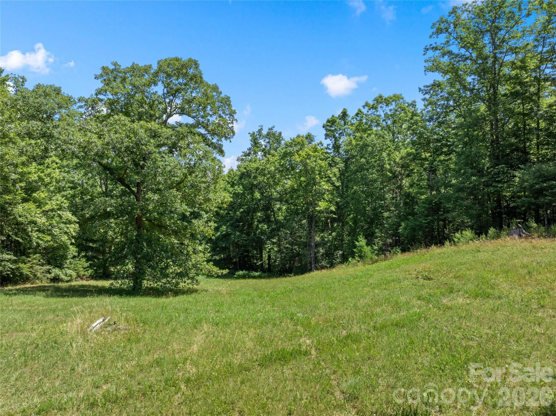 563 Burgess Road - Photo 26