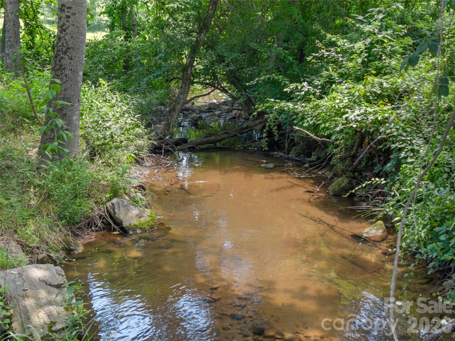 563 Burgess Road - Photo 33