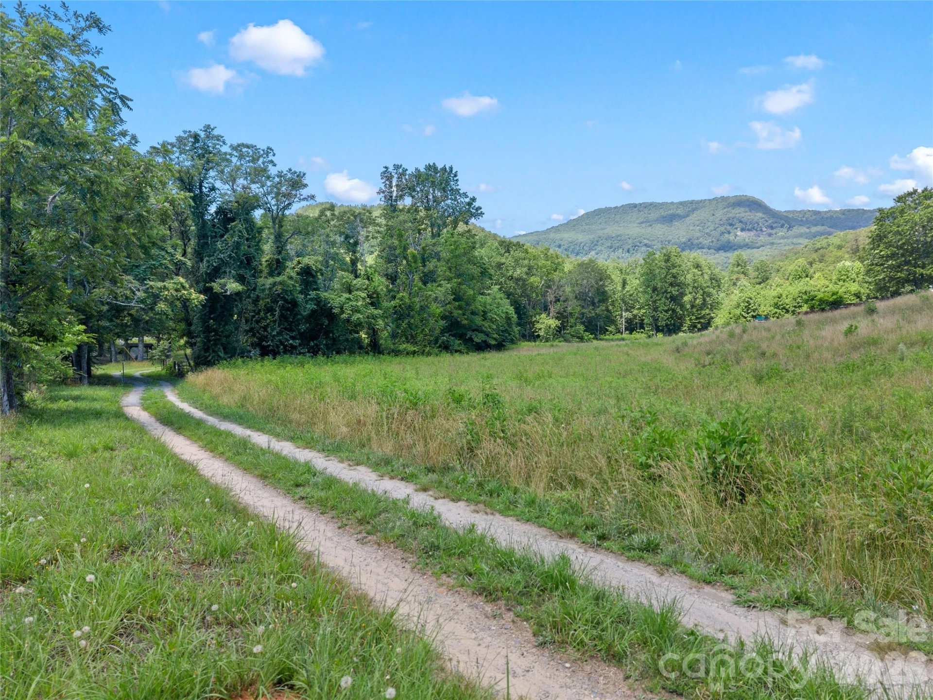 563 Burgess Road - Photo 34